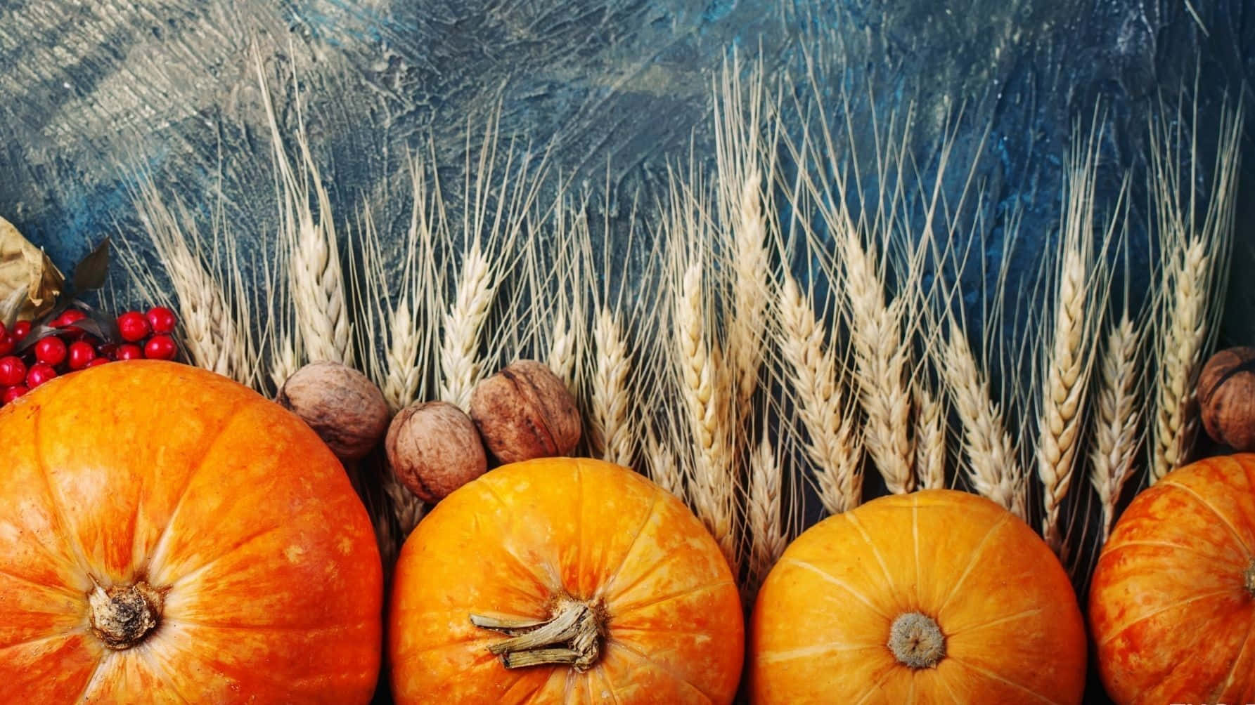 pumpkins, pears, cranberries, HD Desktop Wallpaper