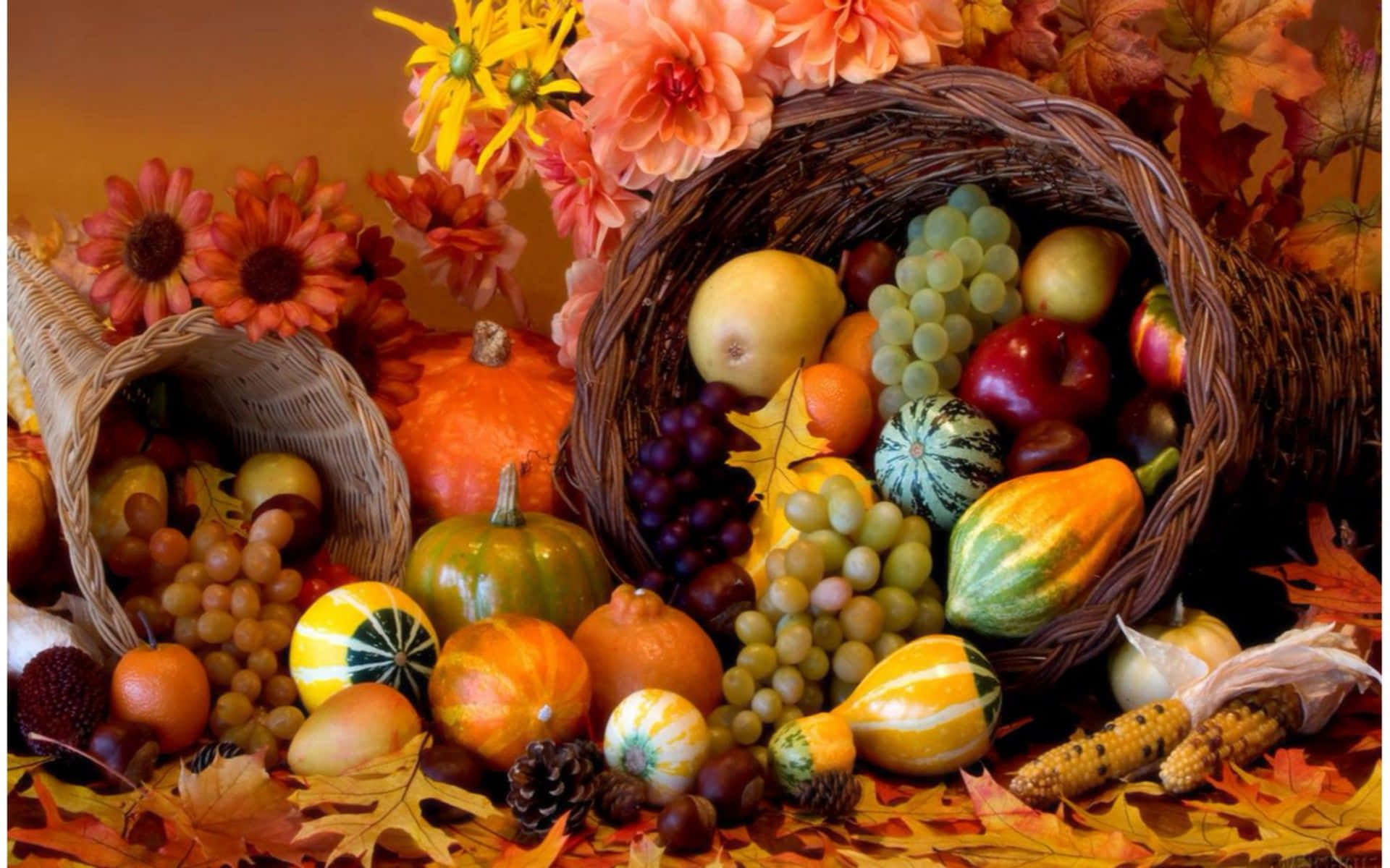 Thanksgiving, autumn harvest, pumpkins, Full HD Desktop Wallpaper