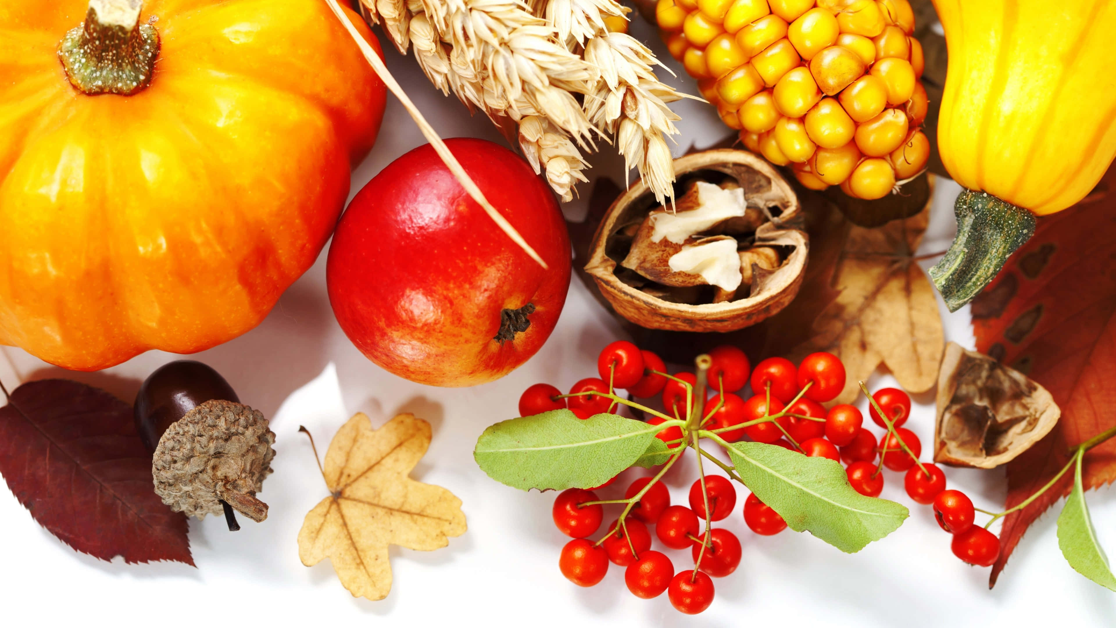 autumn food, pumpkins, pomegranates, 4K Desktop Wallpaper