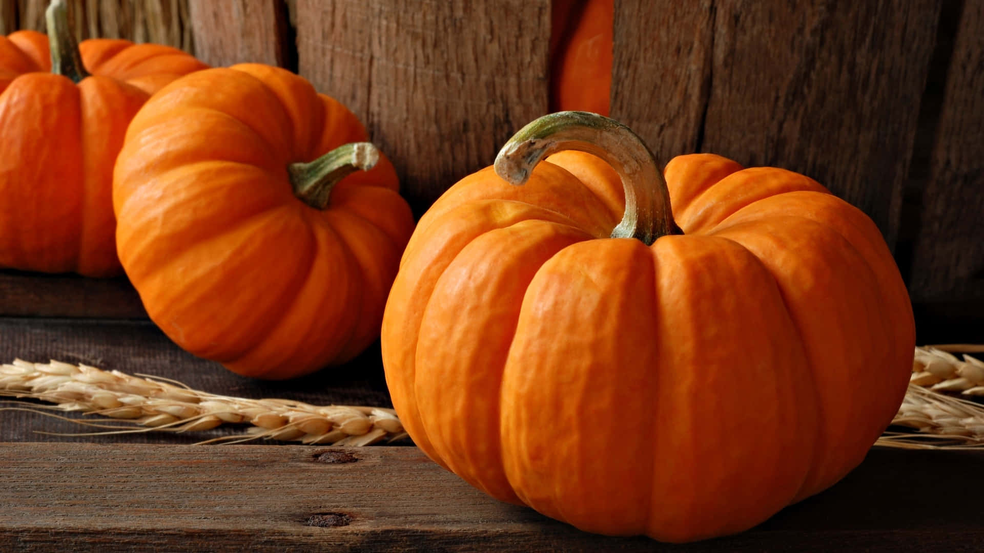 autumn food, pumpkins, textured ridges, Full HD Desktop Wallpaper