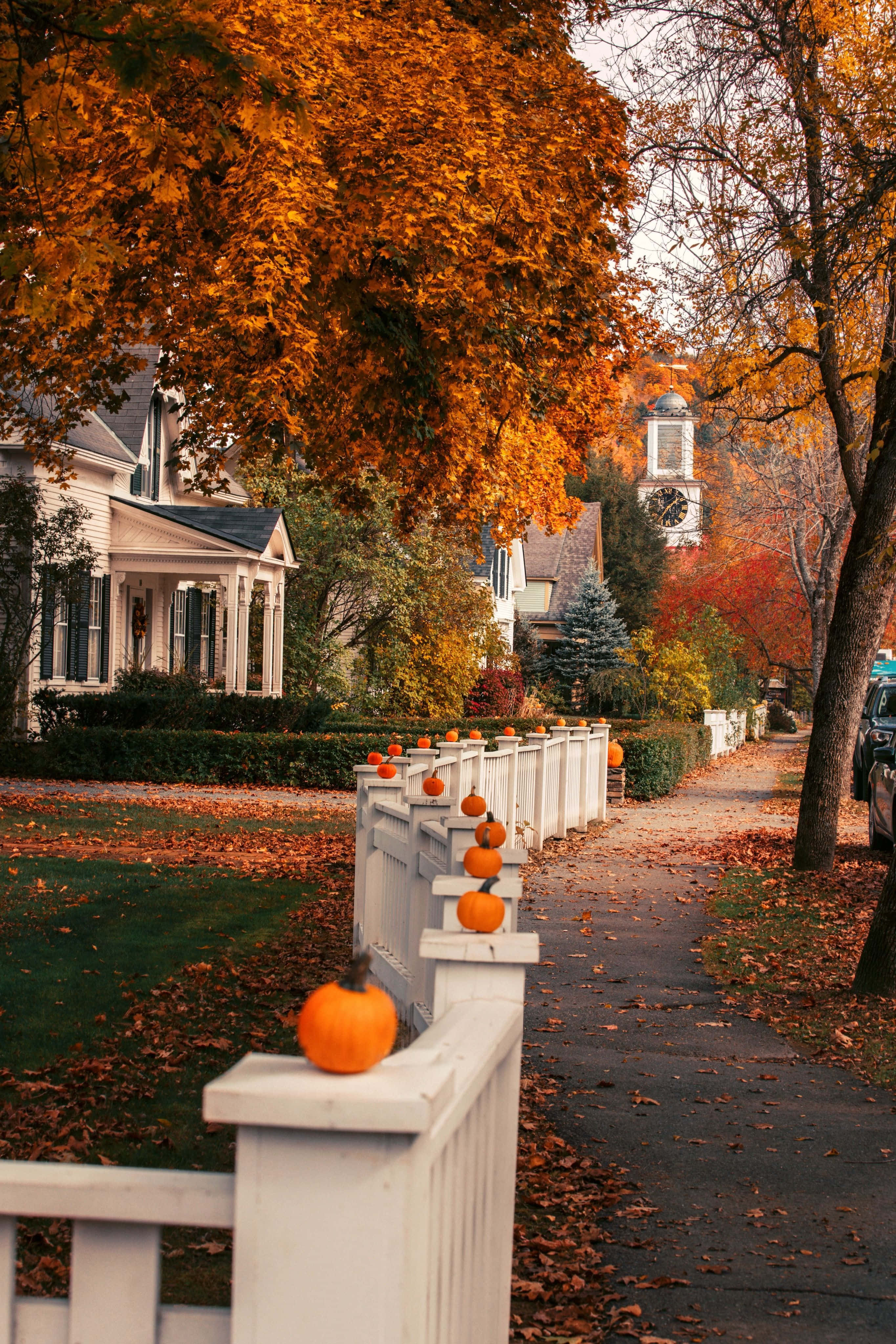 Fall Town, autumn street, white fences, 4K Phone Wallpaper