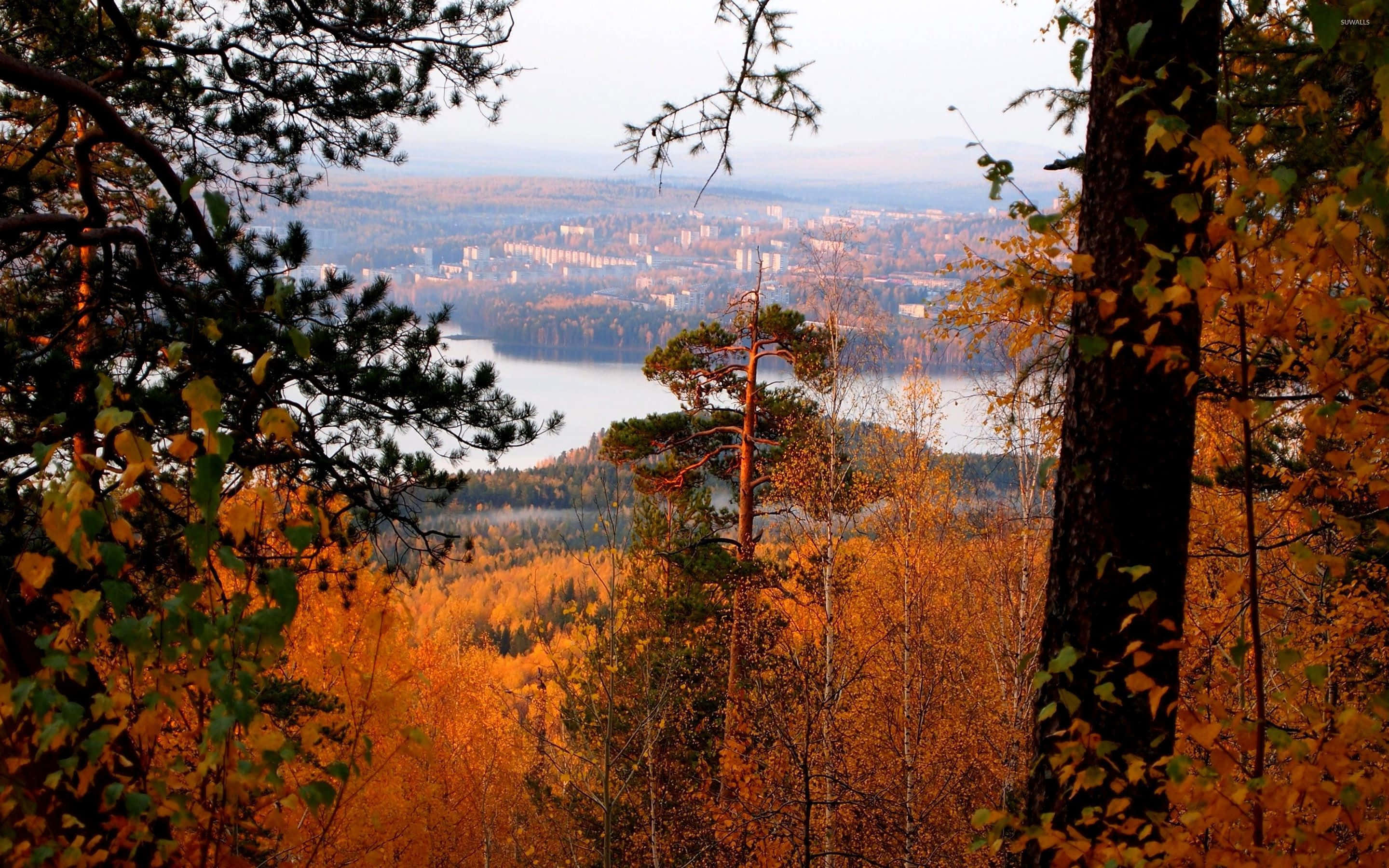 Fall Town, autumn forest, golden leaves, 2K Desktop Wallpaper