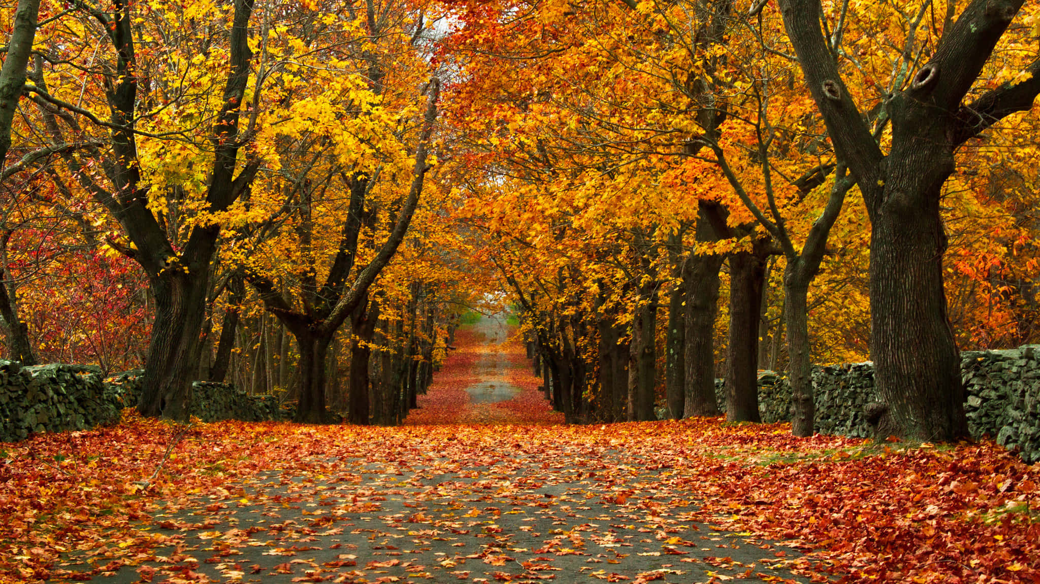 Fall Town, autumn season, fiery orange, Full HD Desktop Wallpaper