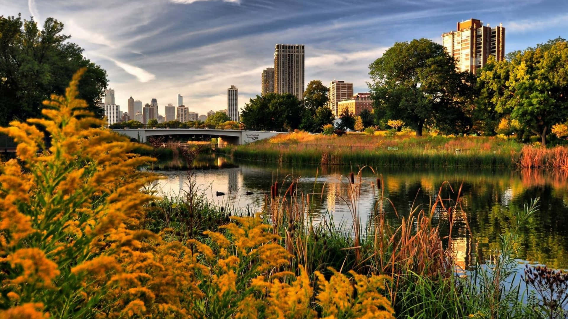 Fall Town, goldenrod, pond, Full HD Desktop Wallpaper