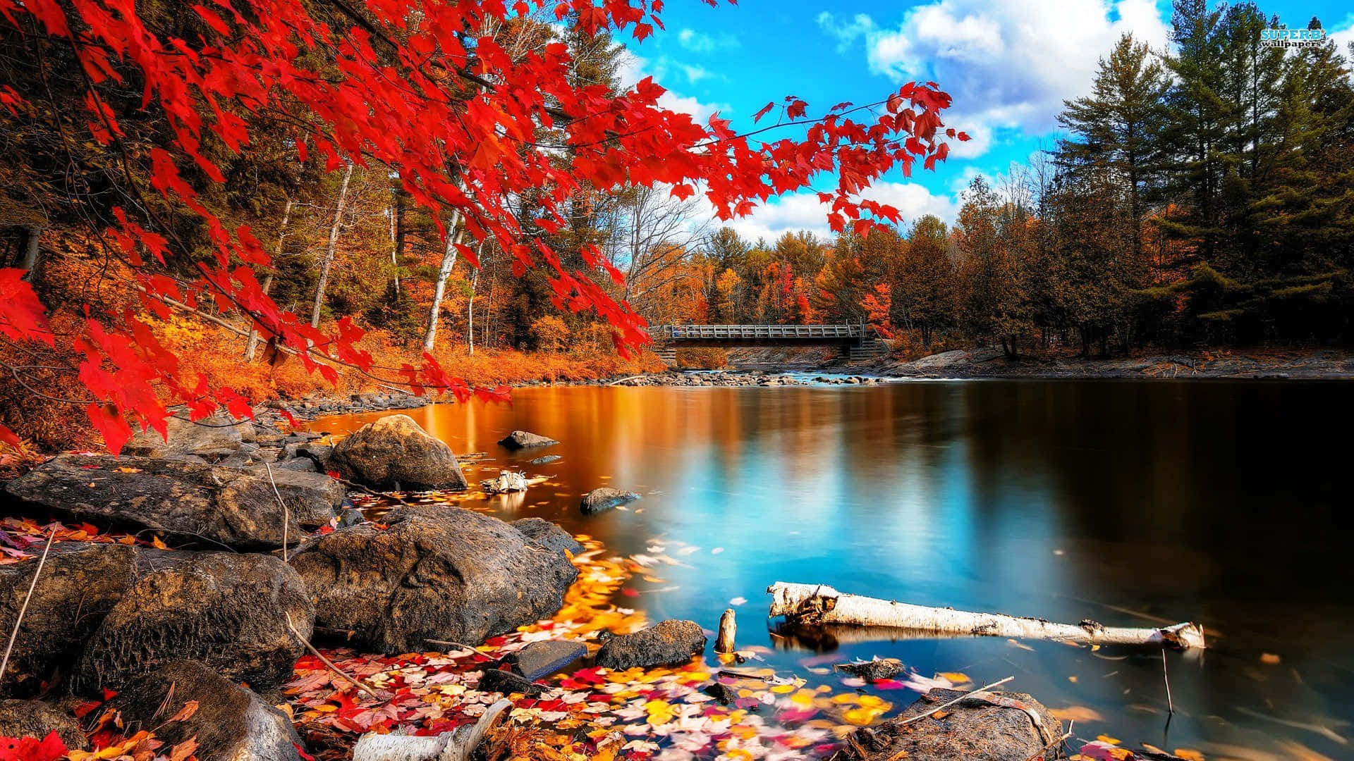 Fall Town, red maple leaves, autumn river, Full HD Desktop Wallpaper