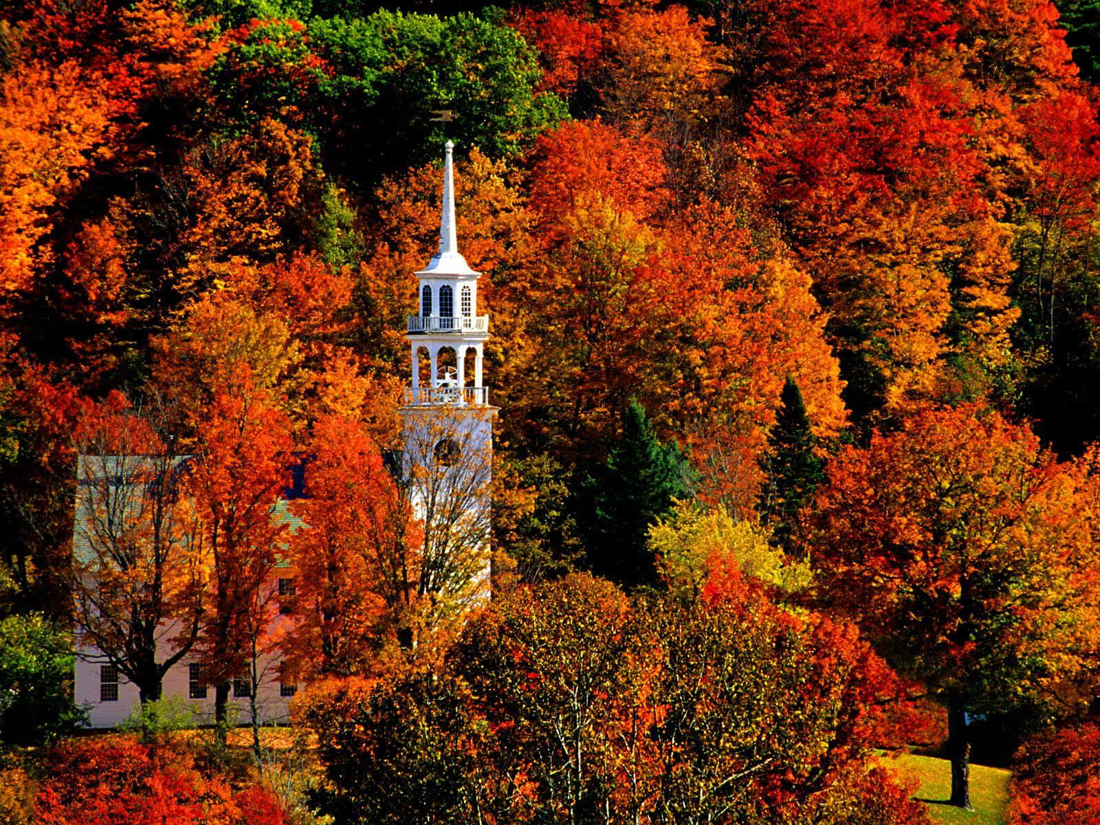 Fall Town, white church steeple, autumn forest, HD Desktop Wallpaper