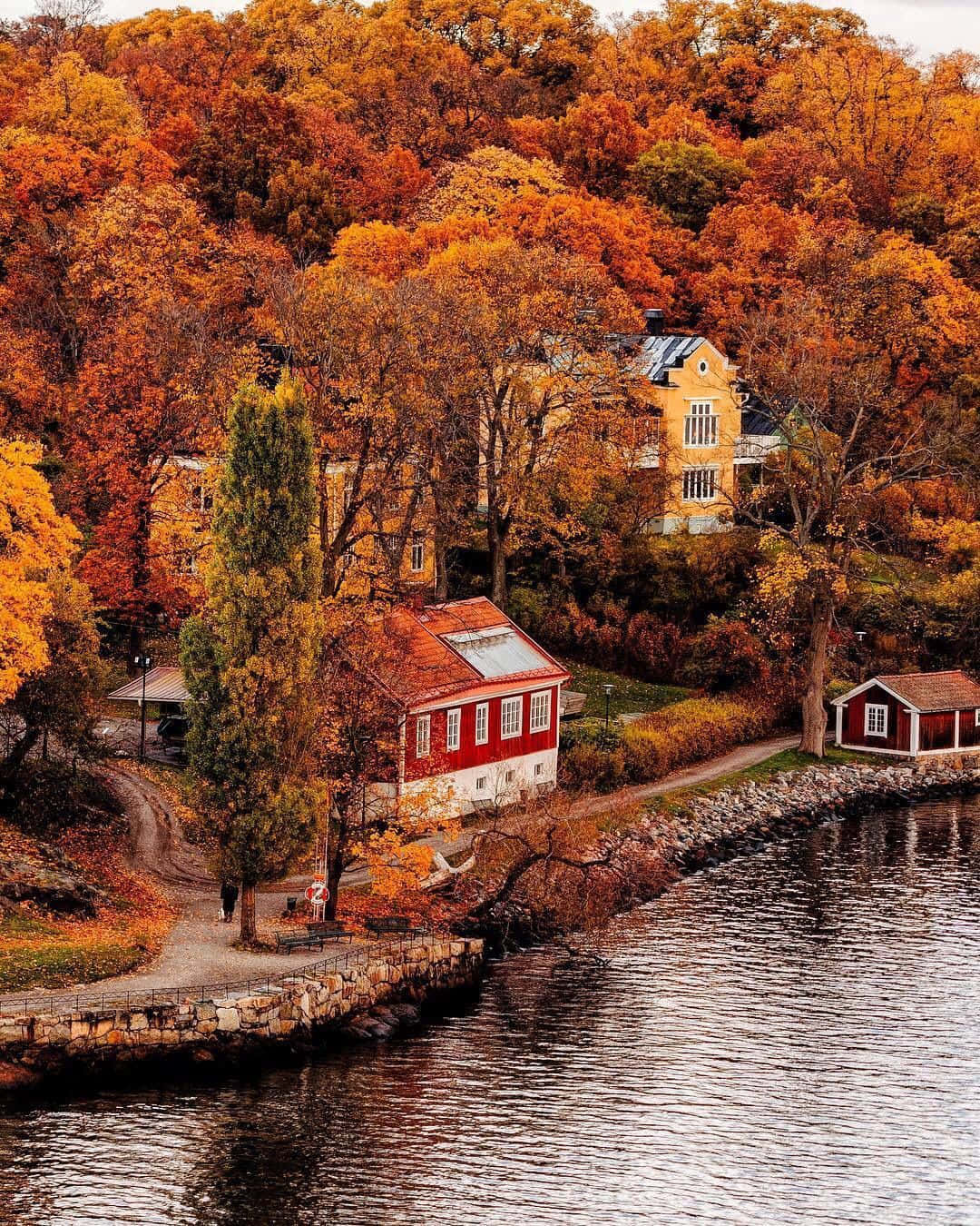 Fall Town, autumn foliage, hillside village, HD Phone Wallpaper