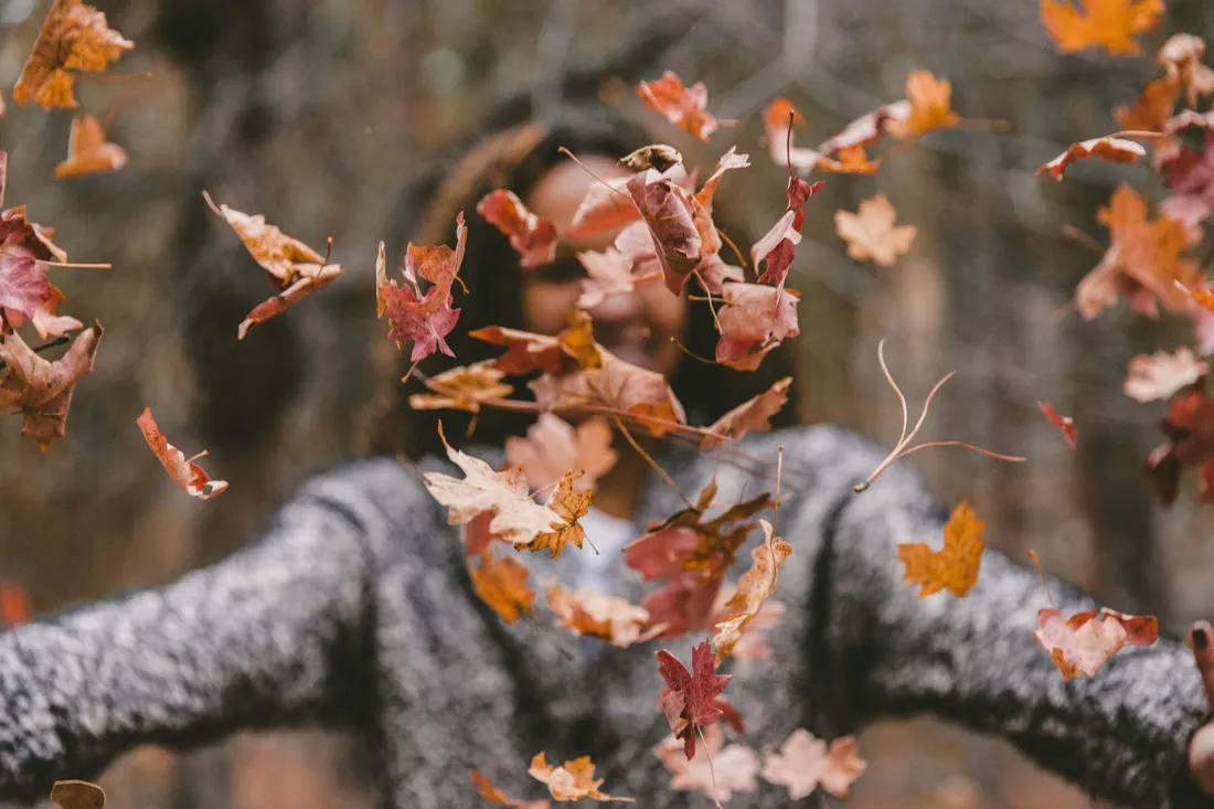 Fall Tumblr