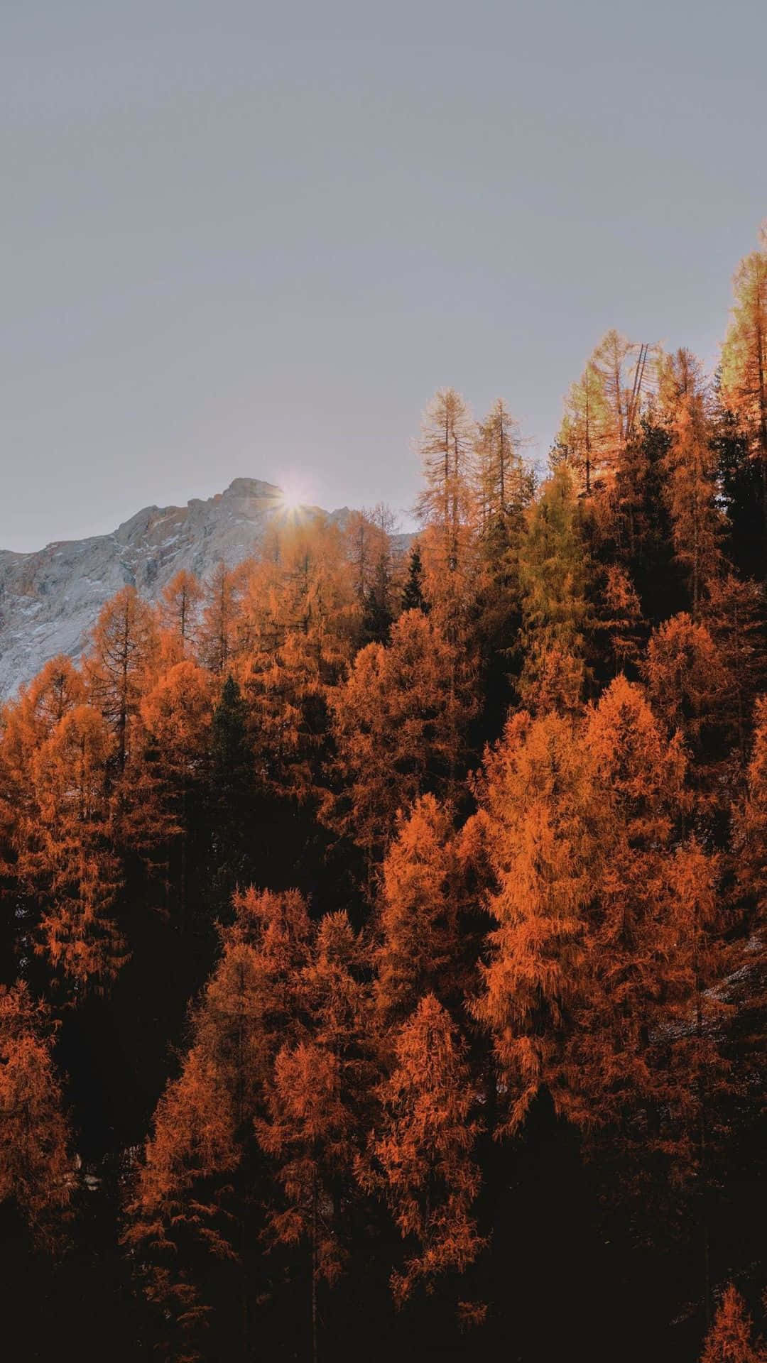 Fall Tumblr, snow-capped mountain peak, dense forest, Full HD Phone Wallpaper
