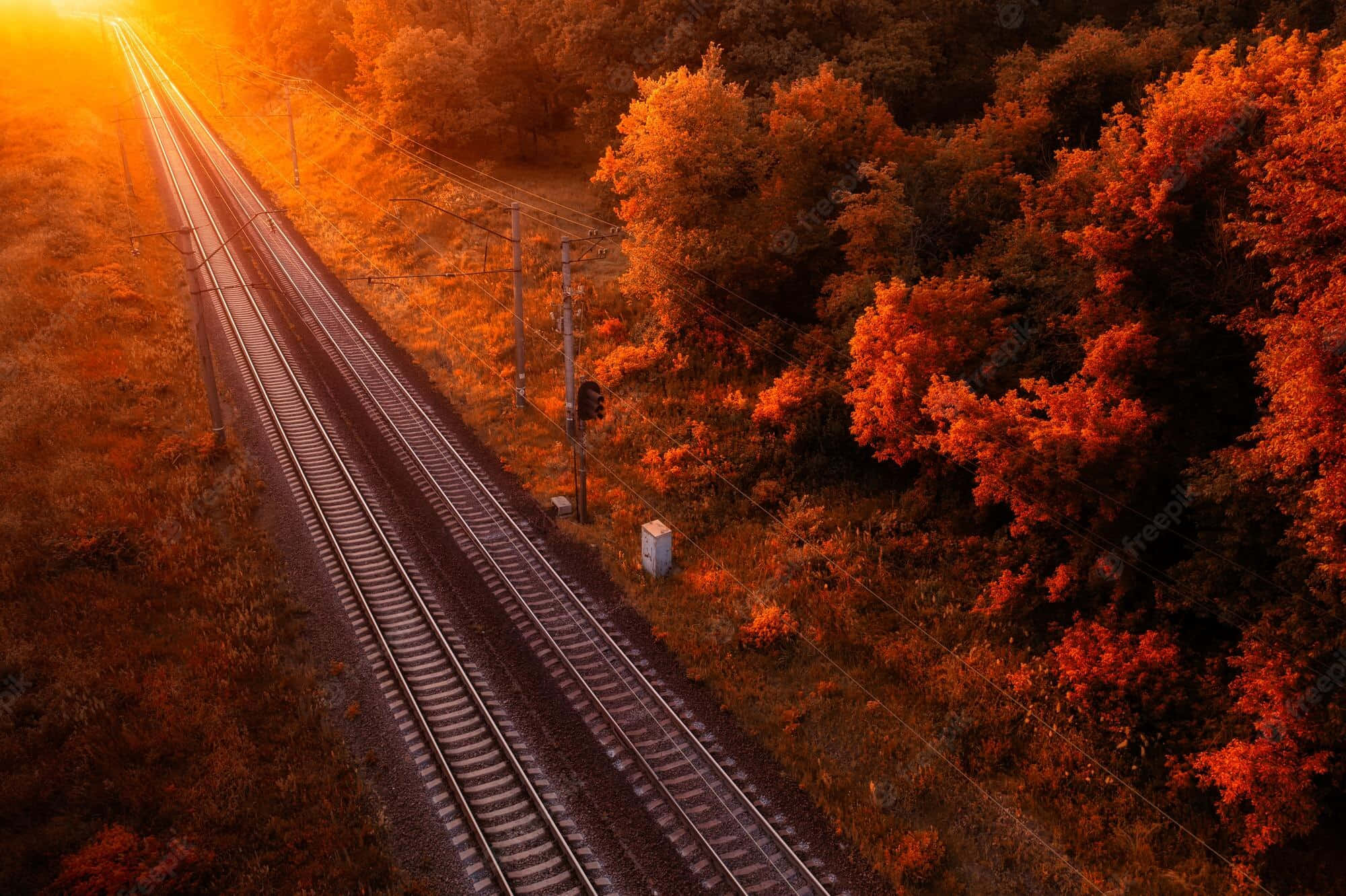 Fall Tumblr, train rails, forest, Full HD Desktop Wallpaper