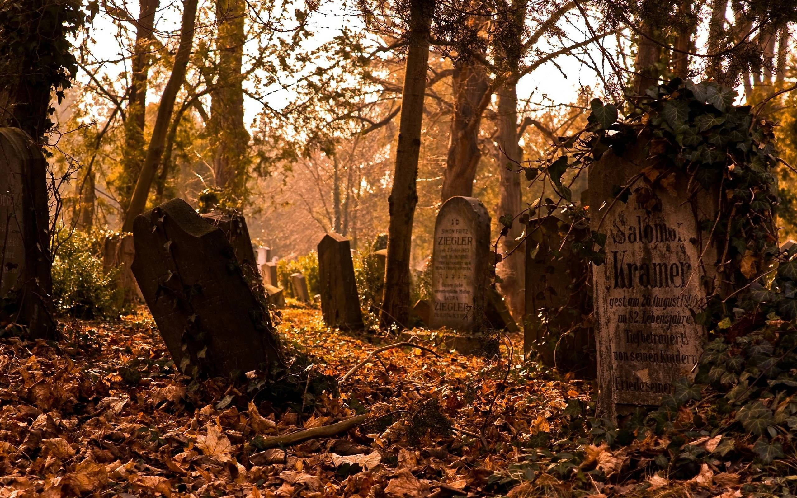 Graveyard, Fall, autumn trees, 2K Desktop Wallpaper