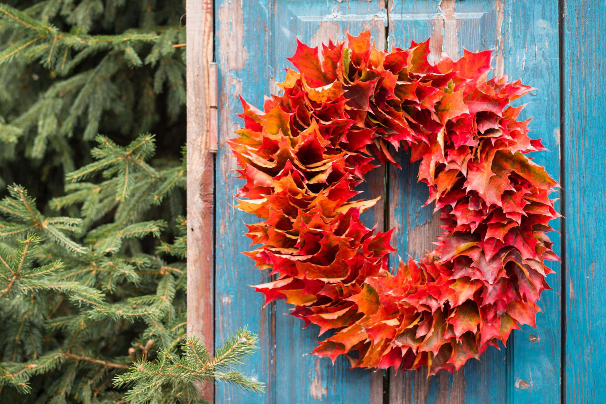 Fall Wreath, red orange, yellow, Full HD Desktop Wallpaper
