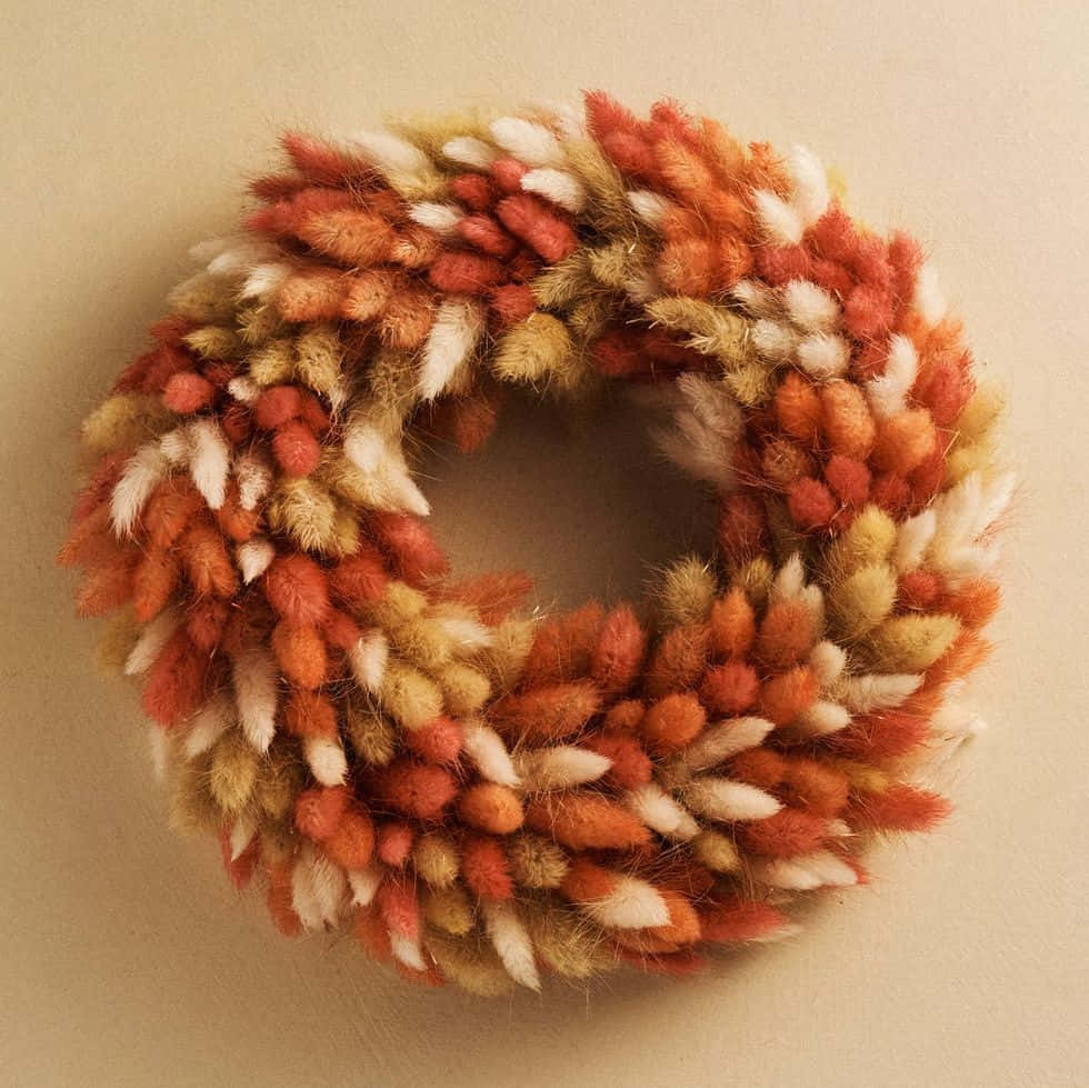 Fall Wreath, dried pampas grass, warm orange beige, SD Desktop Wallpaper