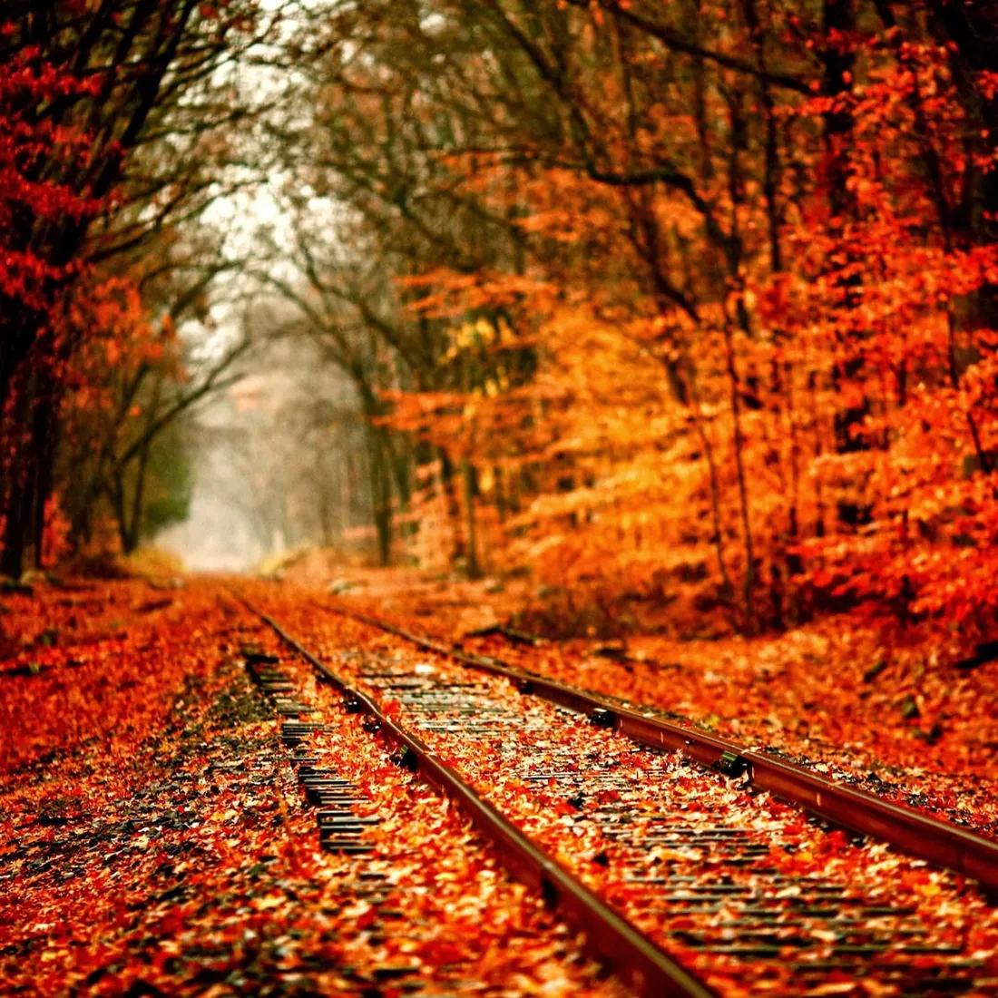 Fall