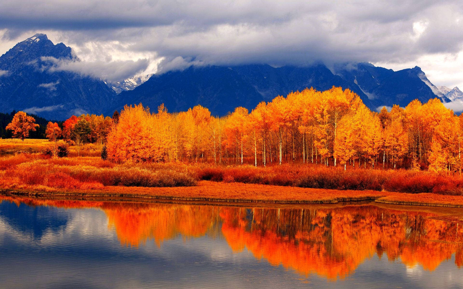 red trees, aspen trees, calm water, Full HD Desktop Wallpaper