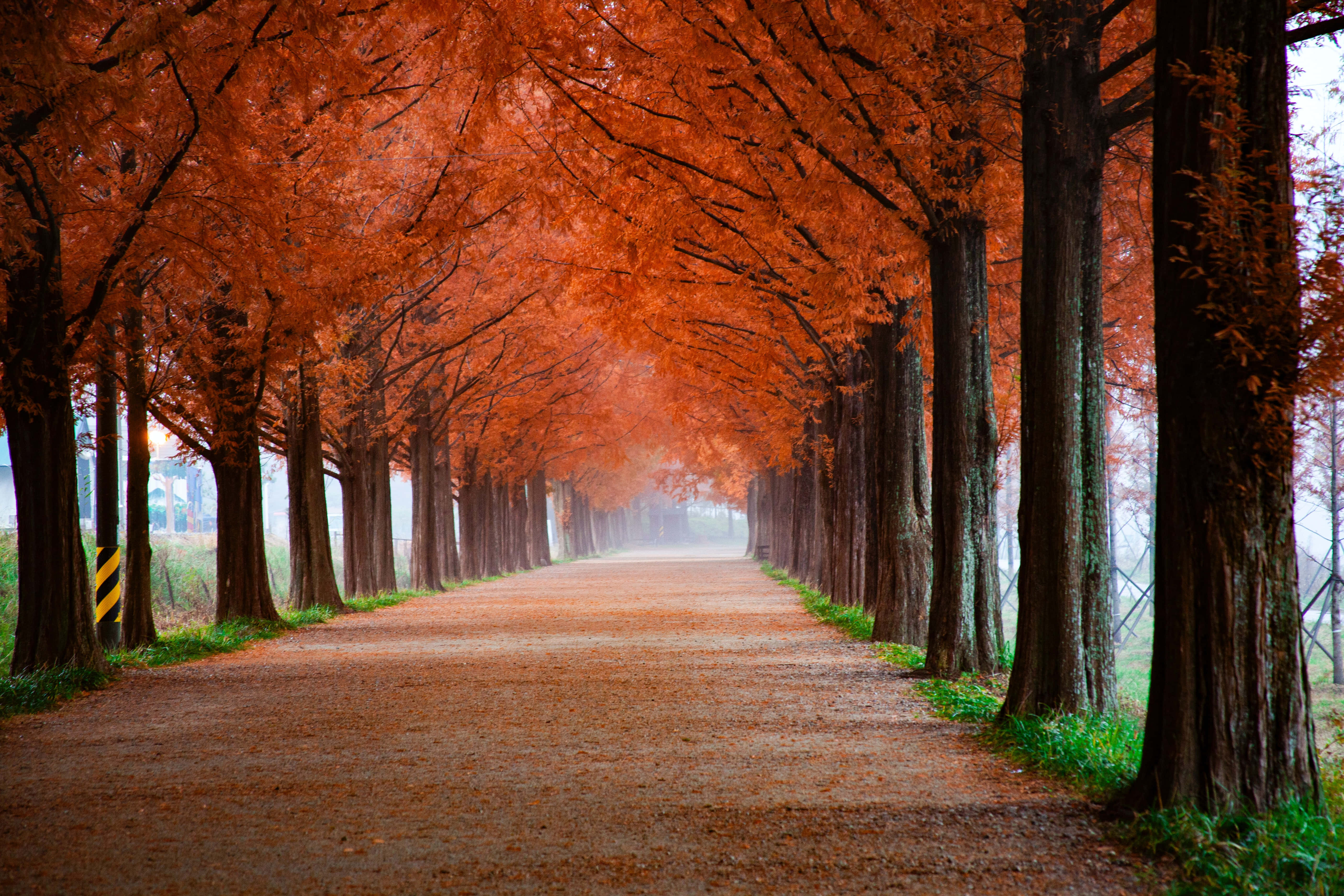 1920x1080, HD, autumn, 5K Desktop Wallpaper