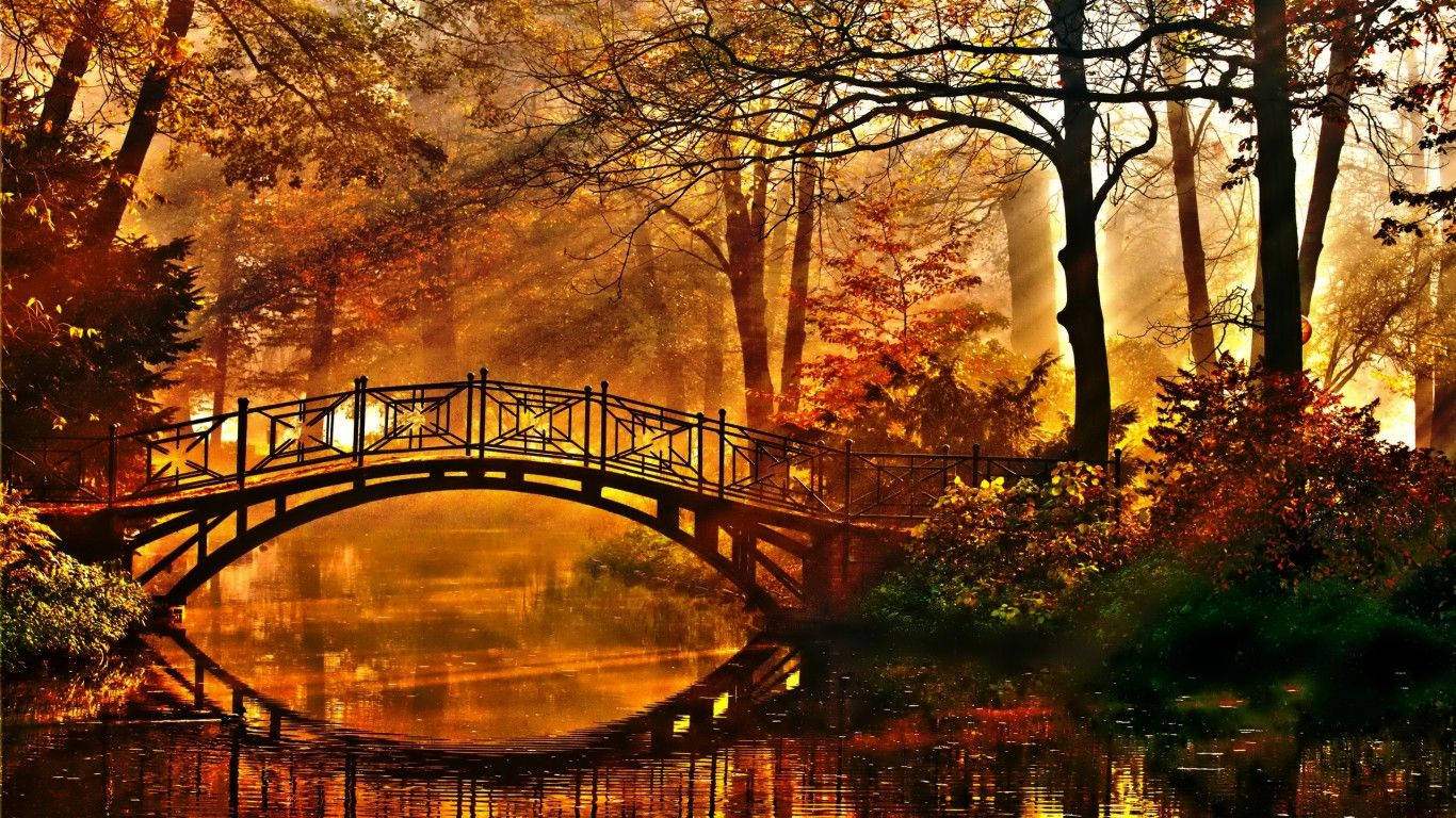 wooden arched bridge, misty autumn river, fiery orange and gold foliage, HD Desktop Wallpaper