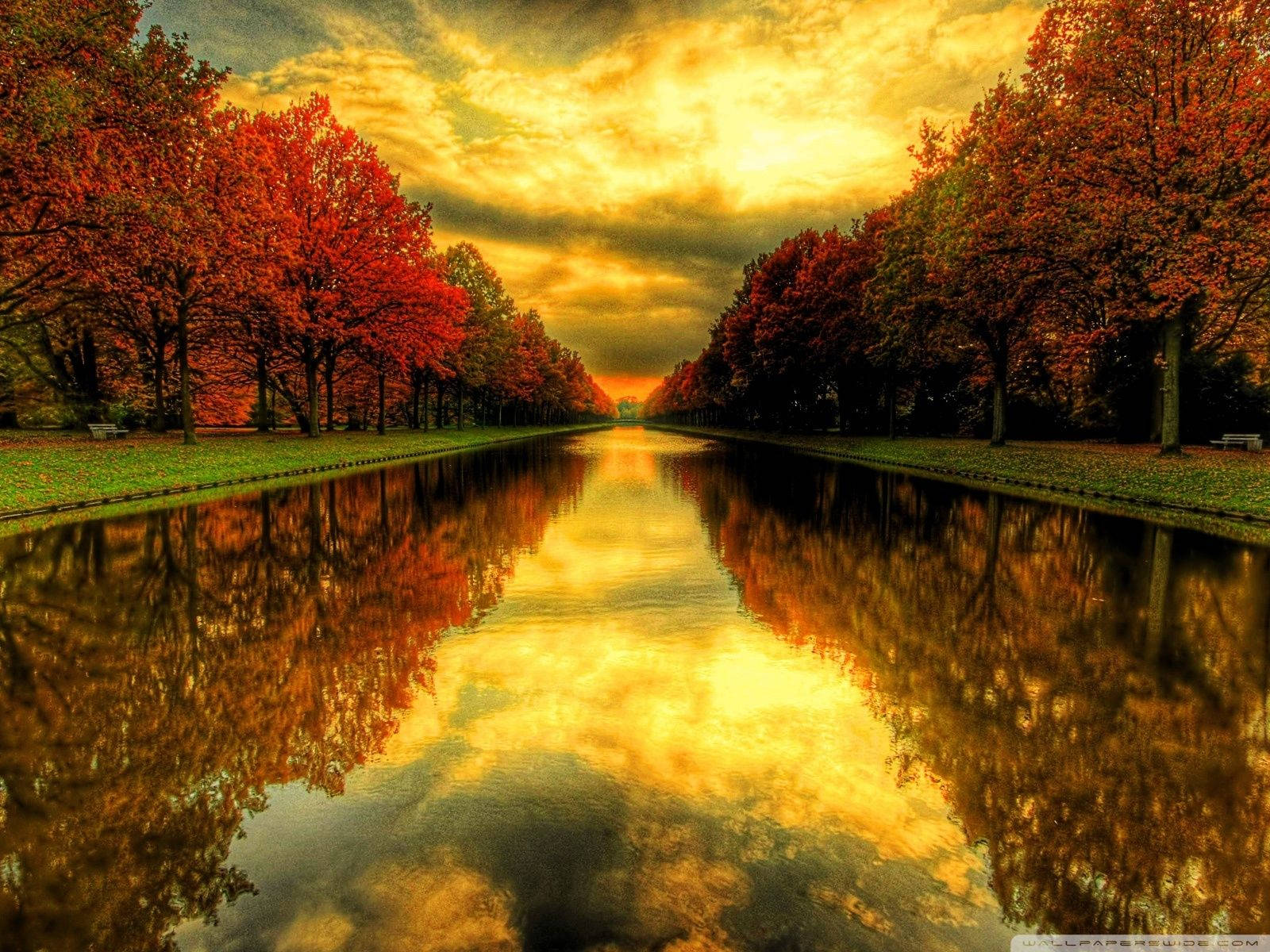 river red trees, Autumn season, fiery red trees, HD Desktop Wallpaper
