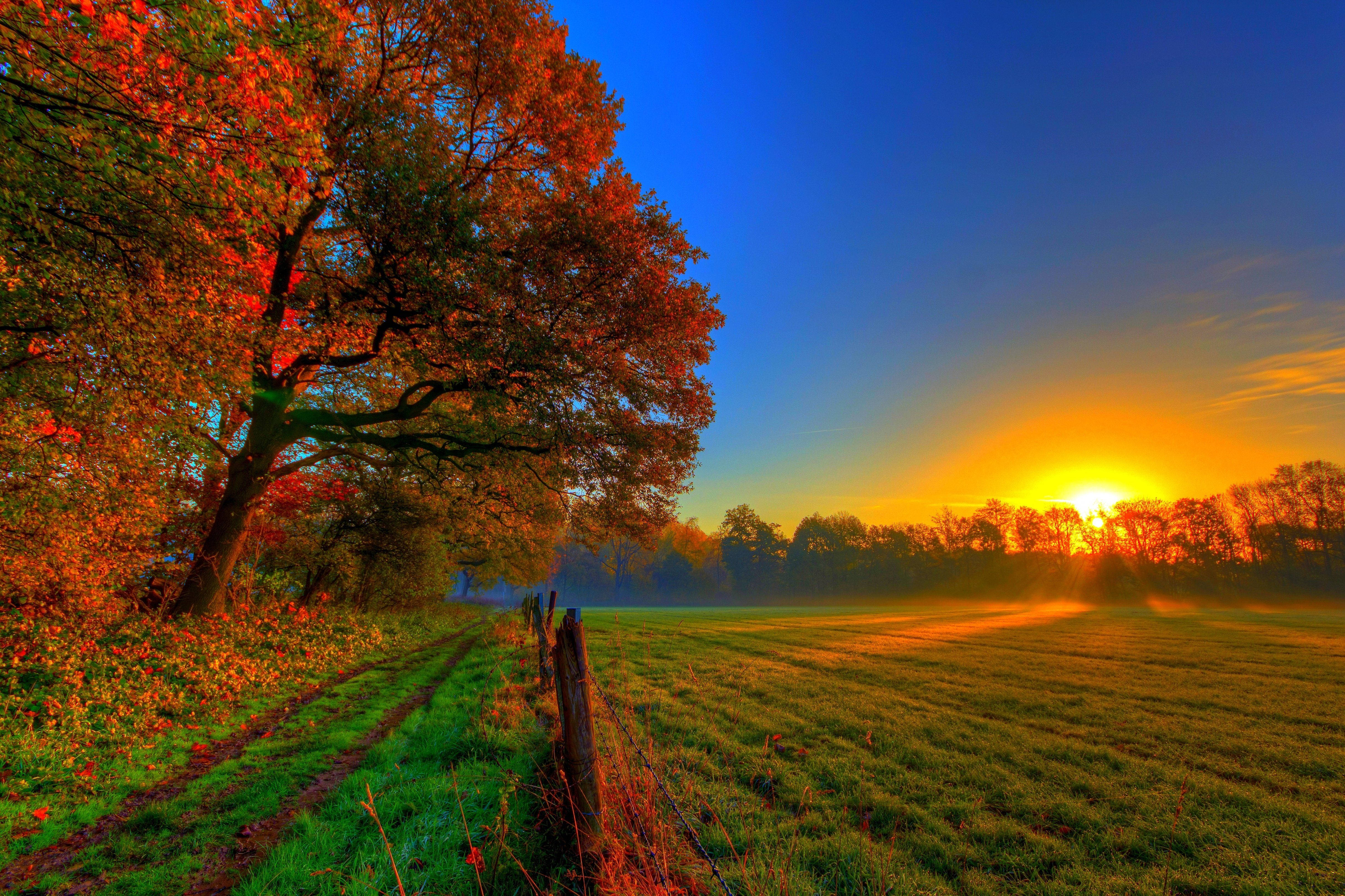 sunset, fall, farm, 4K Desktop Wallpaper