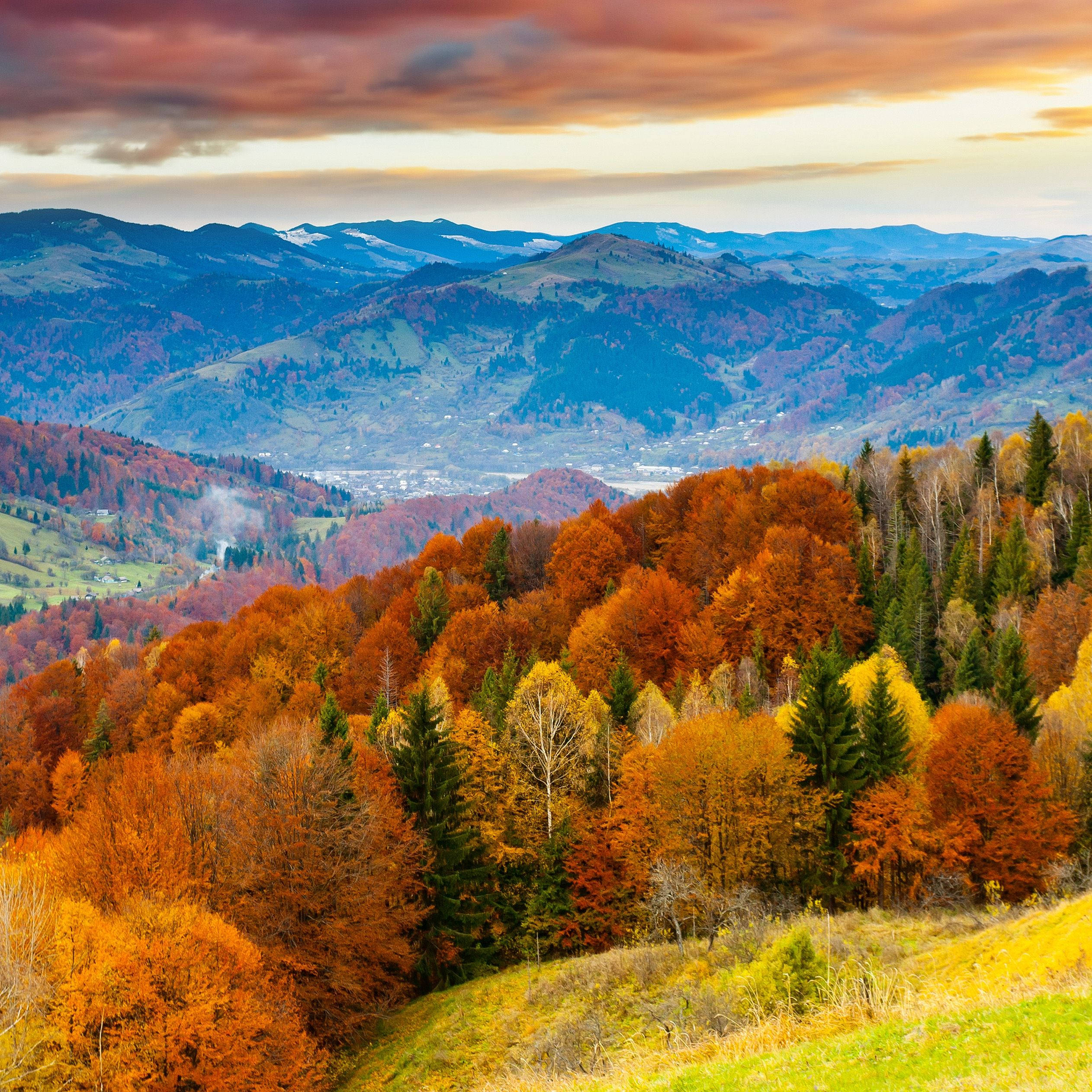 autumn forest, rolling hills, dramatic sunset sky, Full HD Desktop Wallpaper