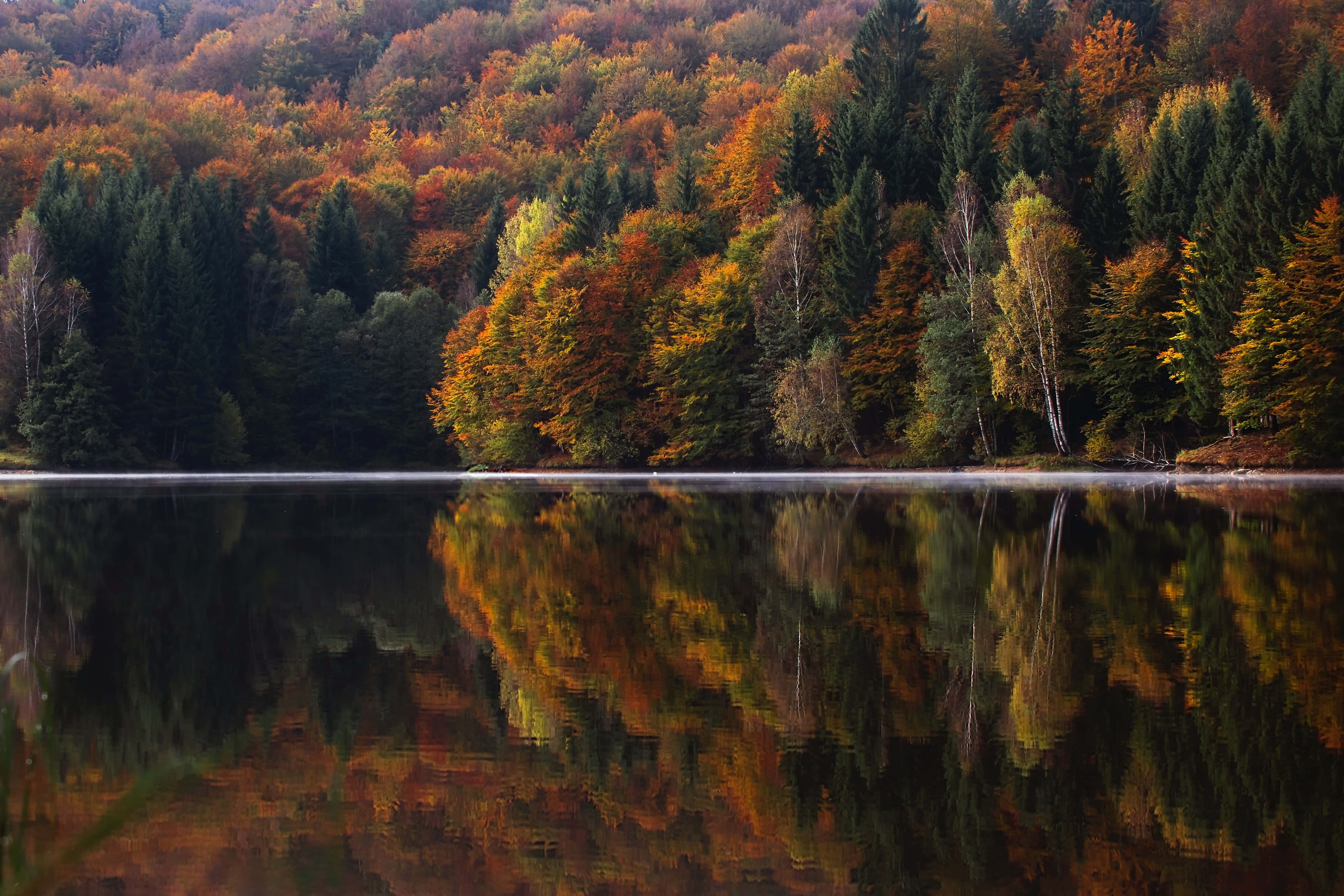 1920x1080, HD, Fall, 4K Desktop Wallpaper