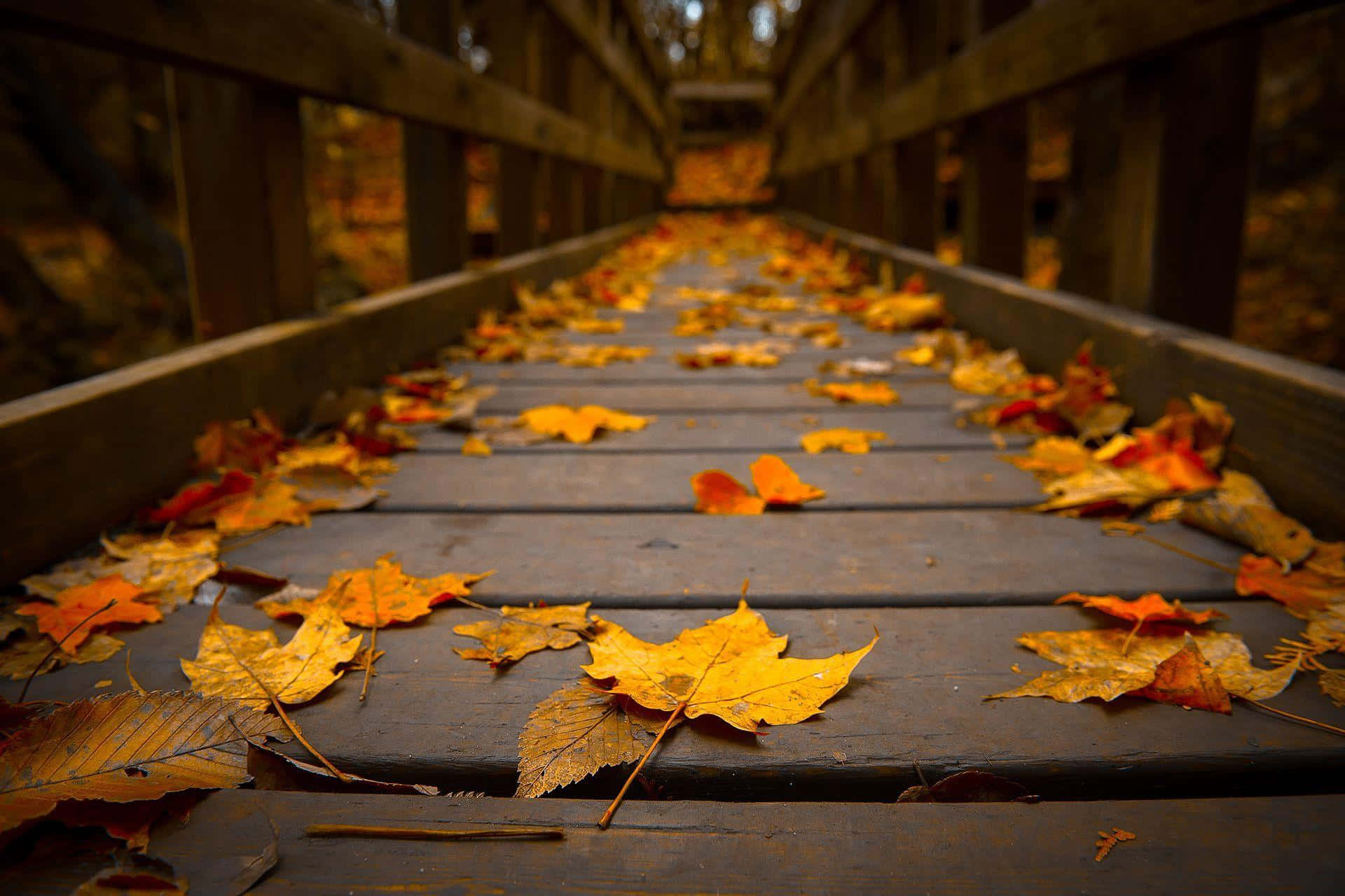 Fallen Leaves, autumn, wooden bridge, Full HD Desktop Wallpaper