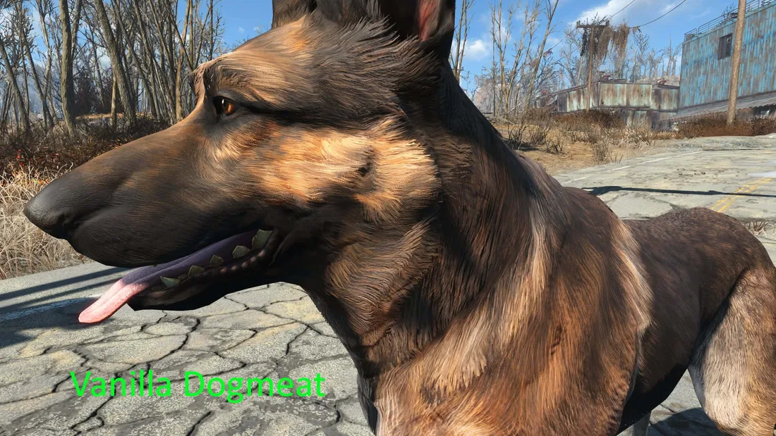 Fallout 4 Dogmeat