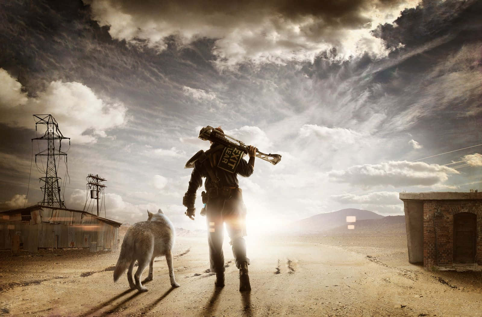 Fallout 4 Dogmeat, wolf companion, armored figure, HD Desktop Wallpaper