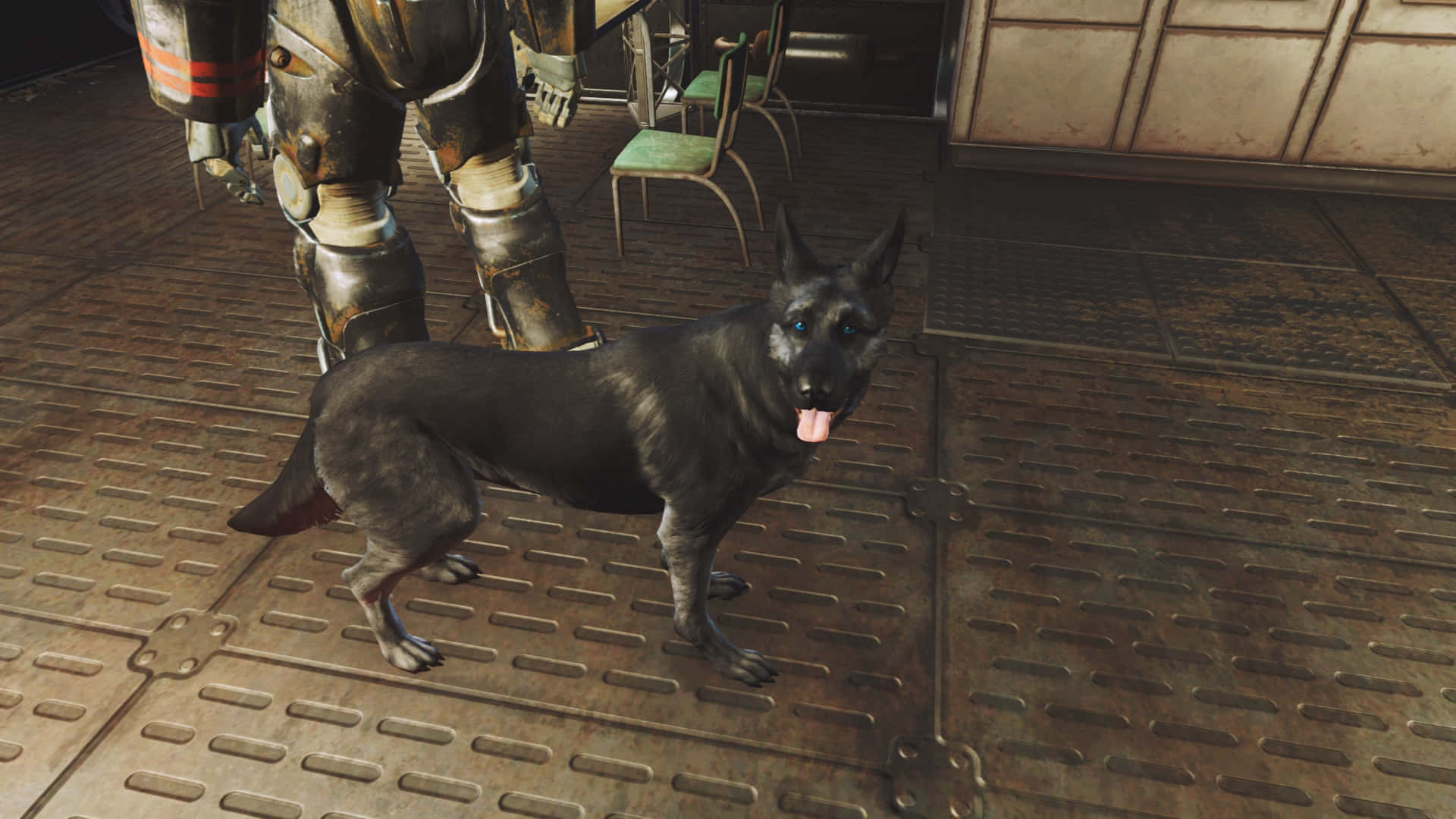 Fallout 4 Dogmeat, black dog, blue eyes, Full HD Desktop Wallpaper