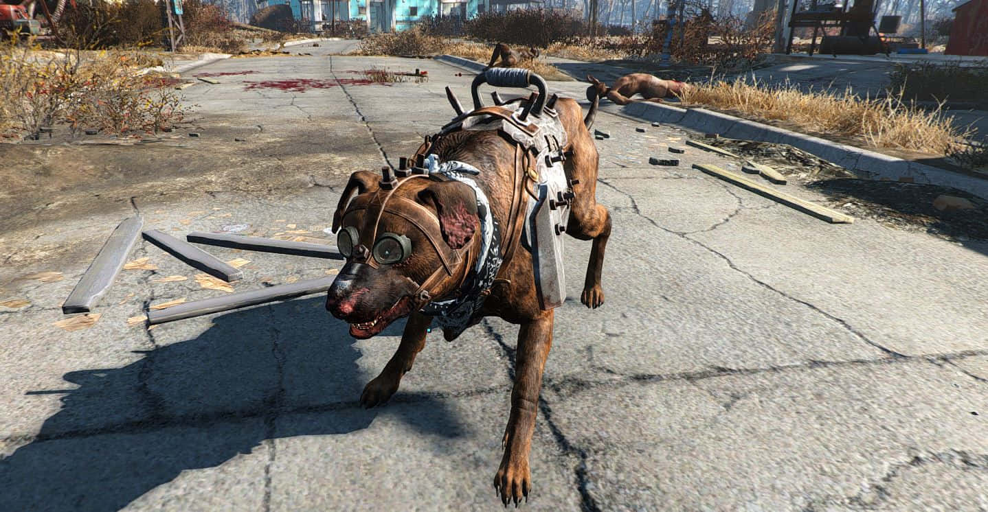 Fallout 4 Dogmeat, brown dog, goggles, HD Desktop Wallpaper