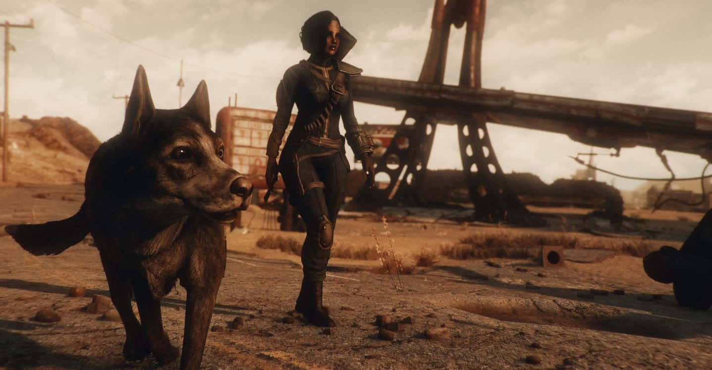 Fallout 4 Dogmeat, armored woman, large dog, HD Desktop Wallpaper