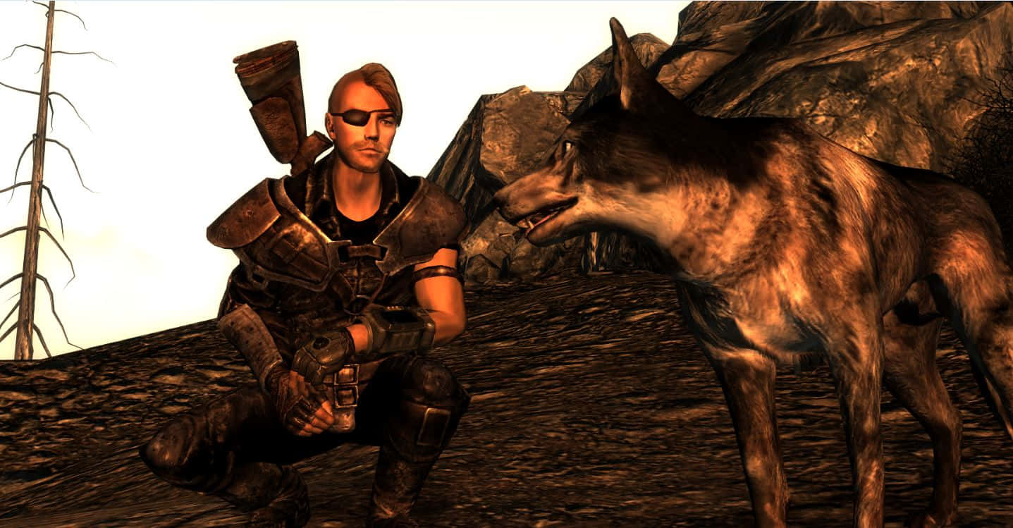 Fallout 4 Dogmeat, armored warrior, loyal wolf, HD Desktop Wallpaper