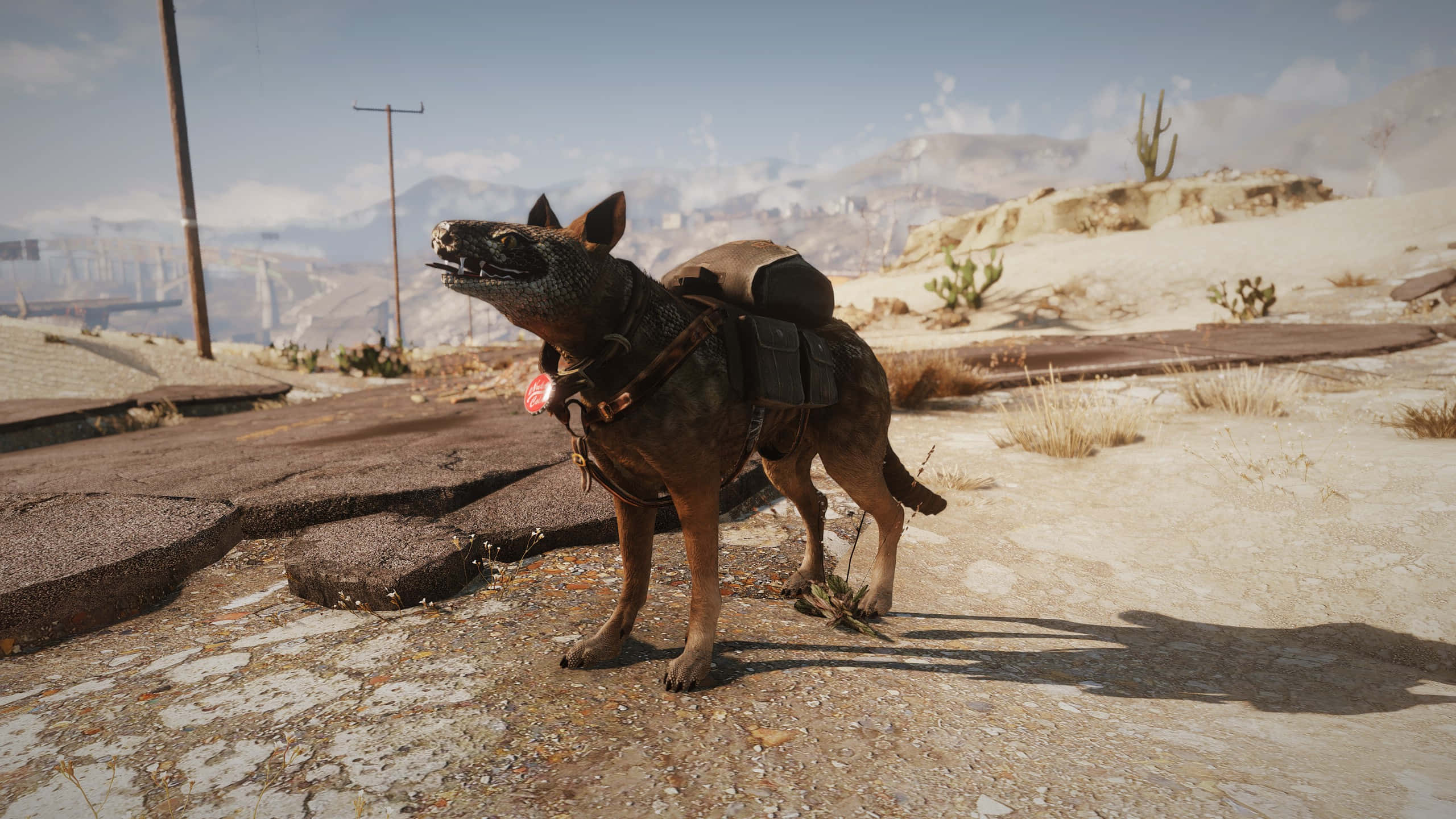 Fallout 4 Dogmeat, cracked pavement, sunlit desert wasteland, 2K Desktop Wallpaper