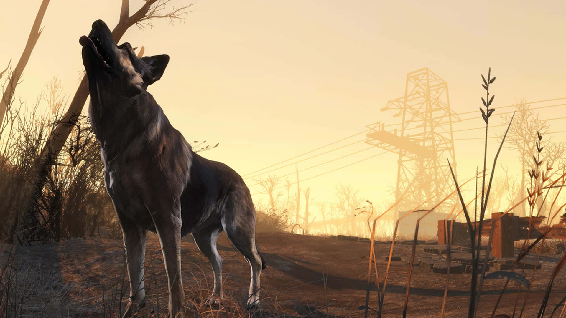 Fallout 4 Dogmeat, golden sunset, desolate wasteland, Full HD Desktop Wallpaper
