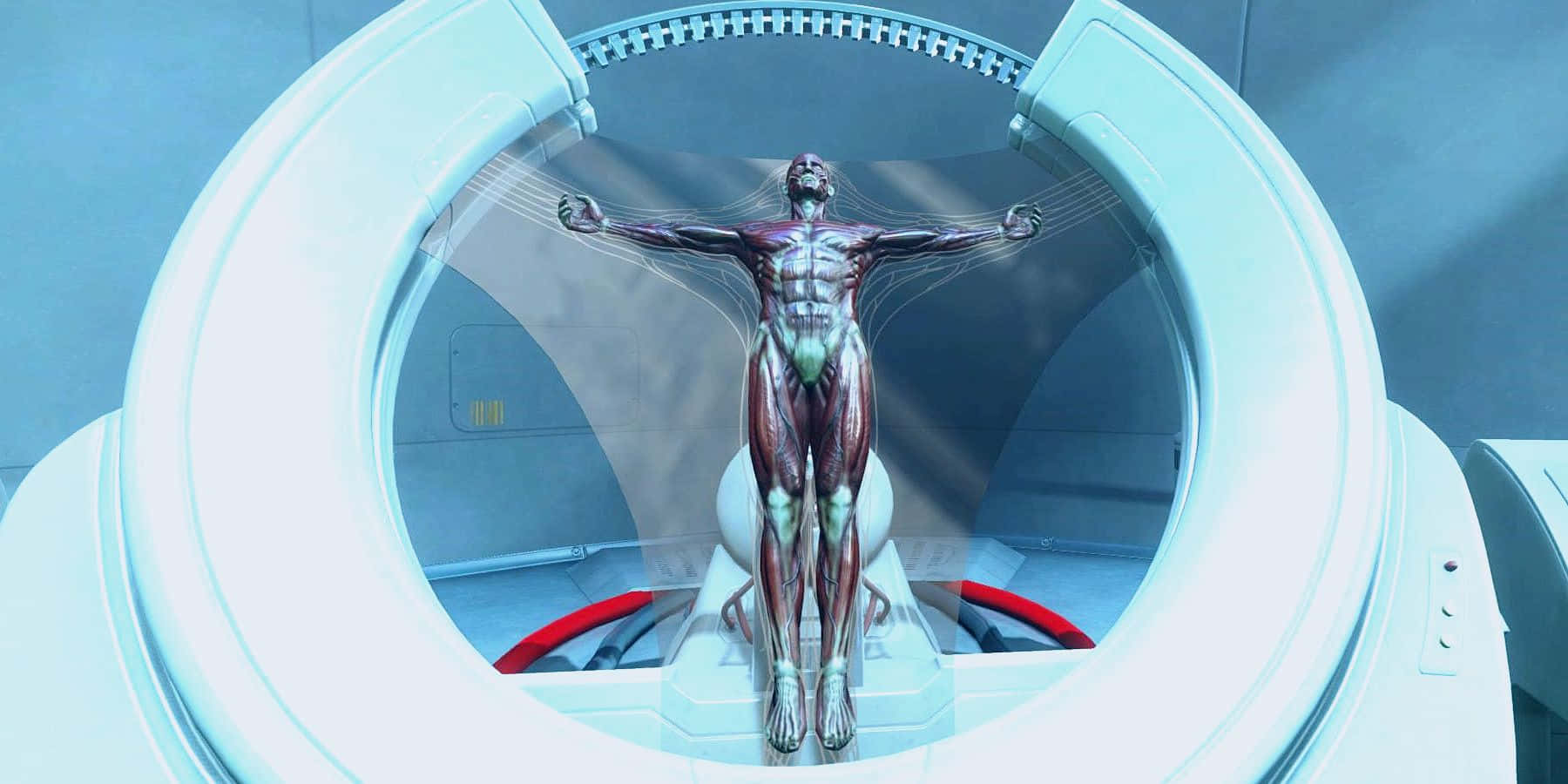 Fallout 4 Institute, futuristic medical scanner, translucent human body, HD Desktop Wallpaper