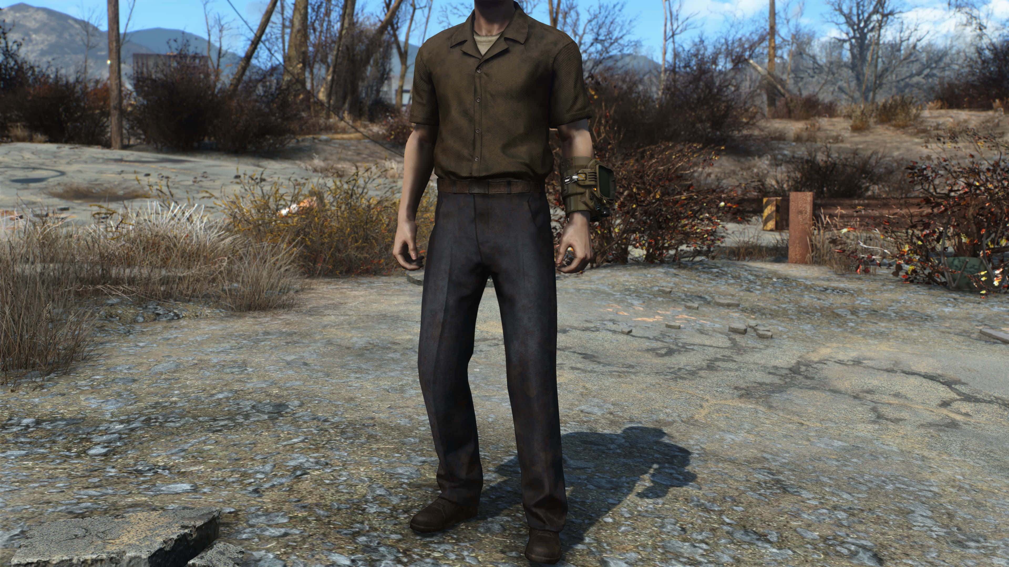 Fallout 4, The Capital Wasteland, brown shirt, 4K Desktop Wallpaper