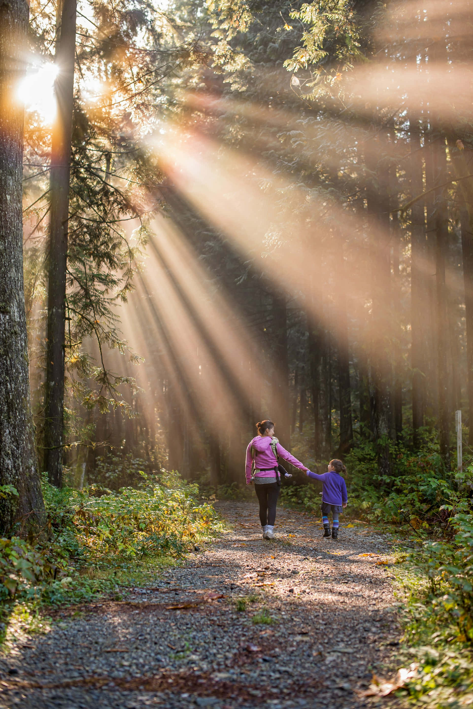 mother, child, forest path, 2K Phone Wallpaper