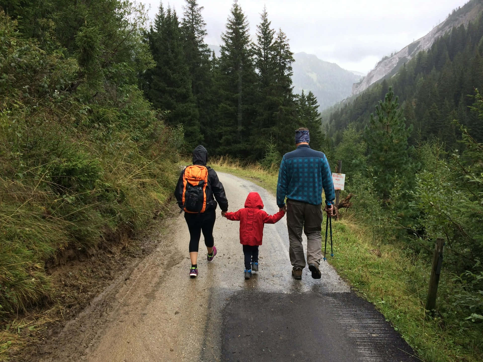 family of three, wet mountain road, dense evergreen forests, Full HD Desktop Wallpaper