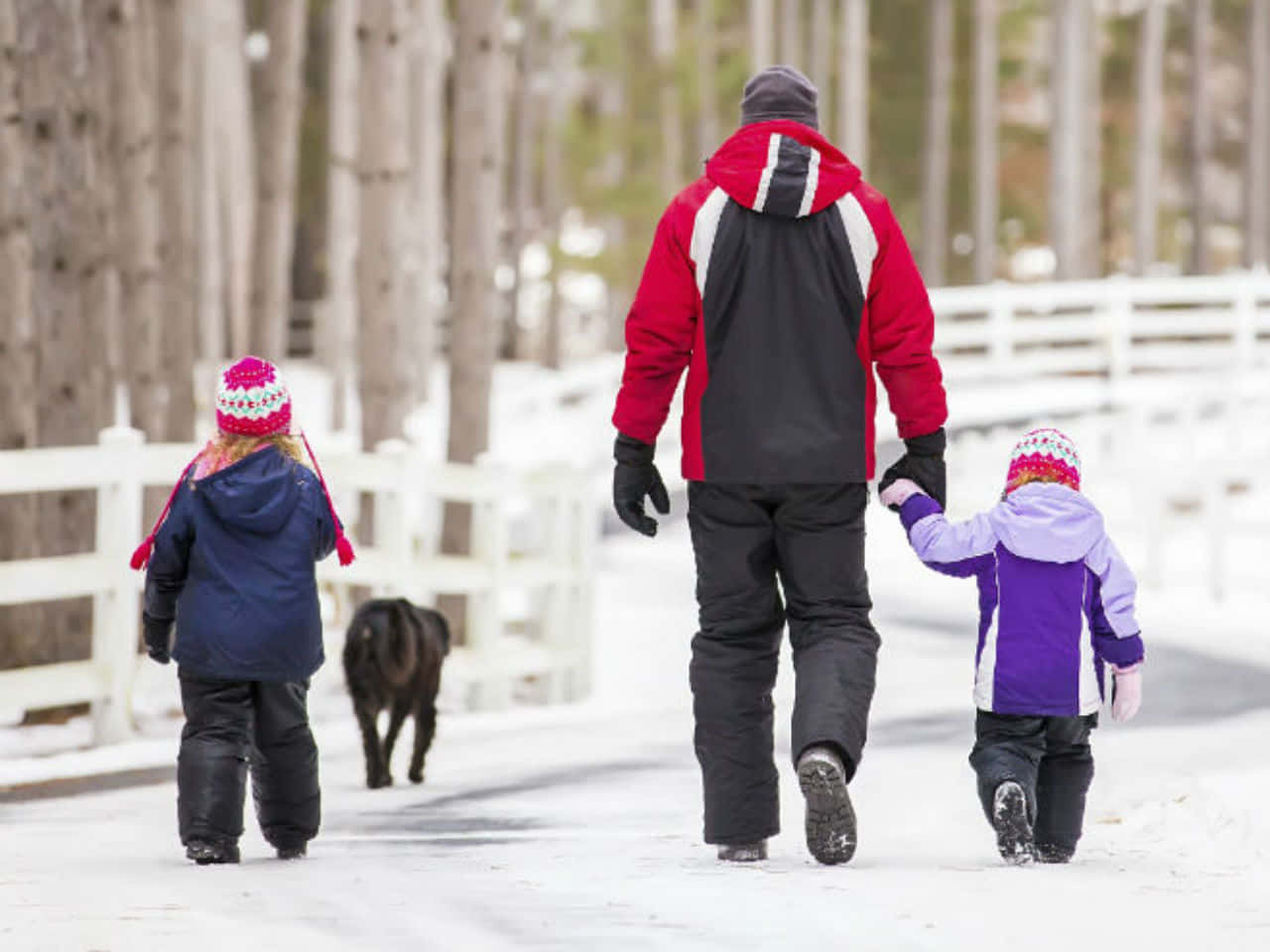 Family Day, father, two children, HD Desktop Wallpaper
