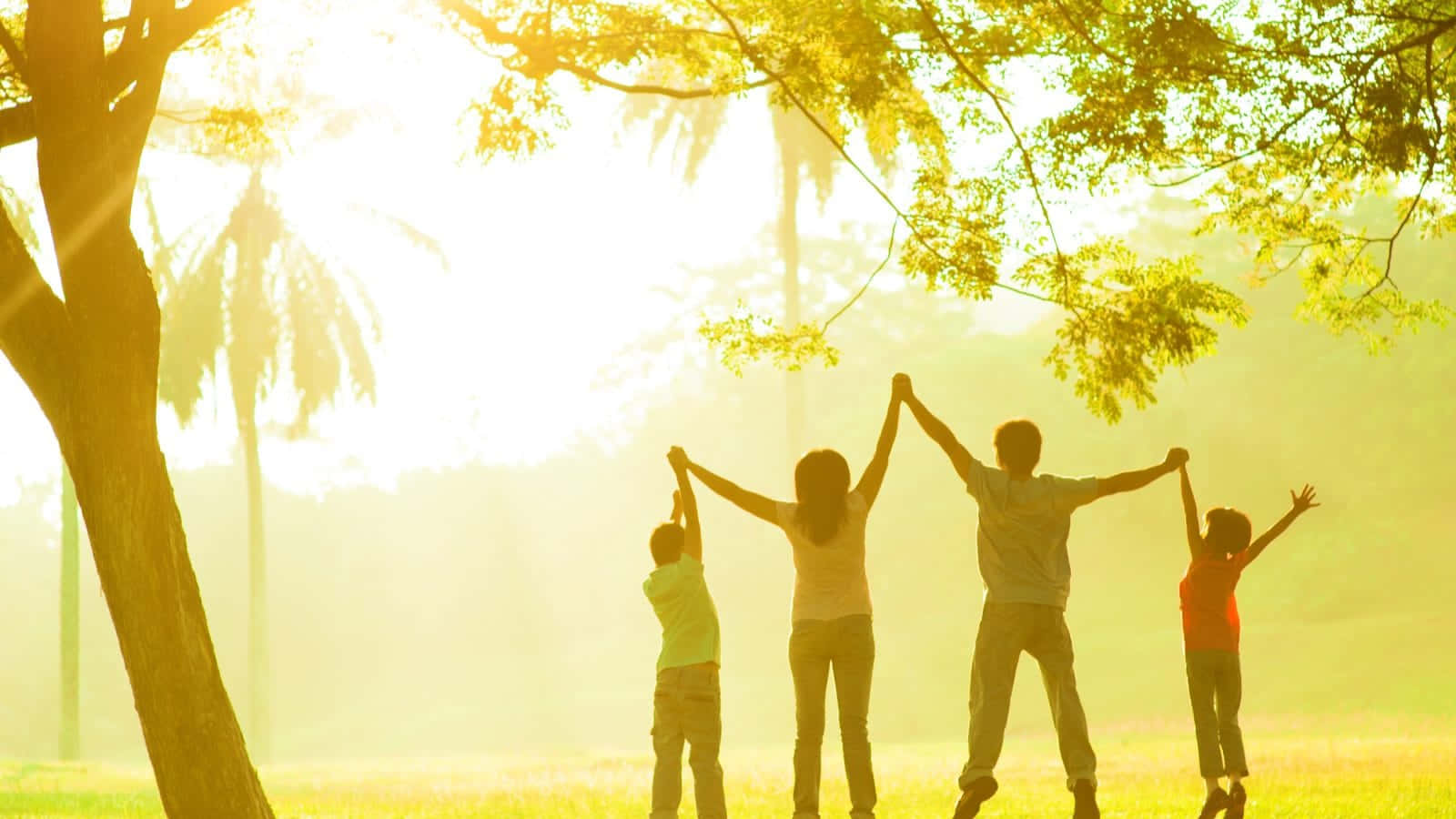 Family Day, outdoor celebration, golden sunlight, HD Desktop Wallpaper