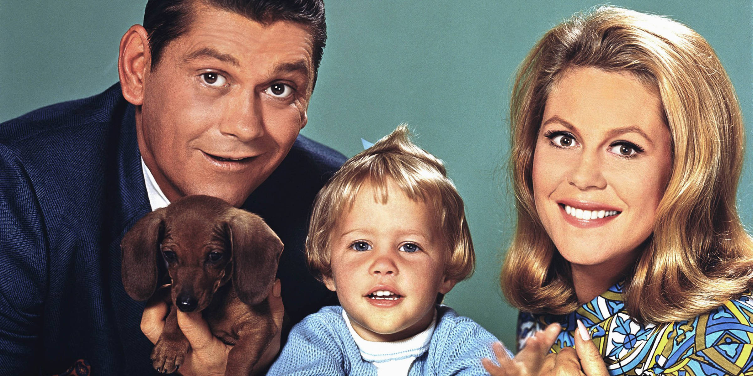 Bewitched Family Photo With Puppy, dachshund, teal studio backdrop, Full HD Desktop Wallpaper