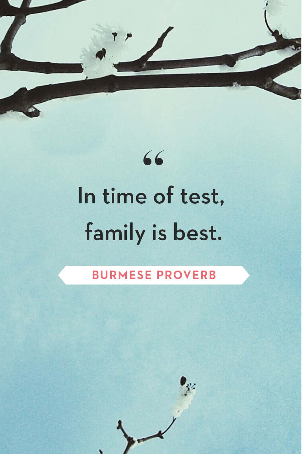 Burmese proverb, snow-dusted bare branches, soft blue sky, HD Phone Wallpaper