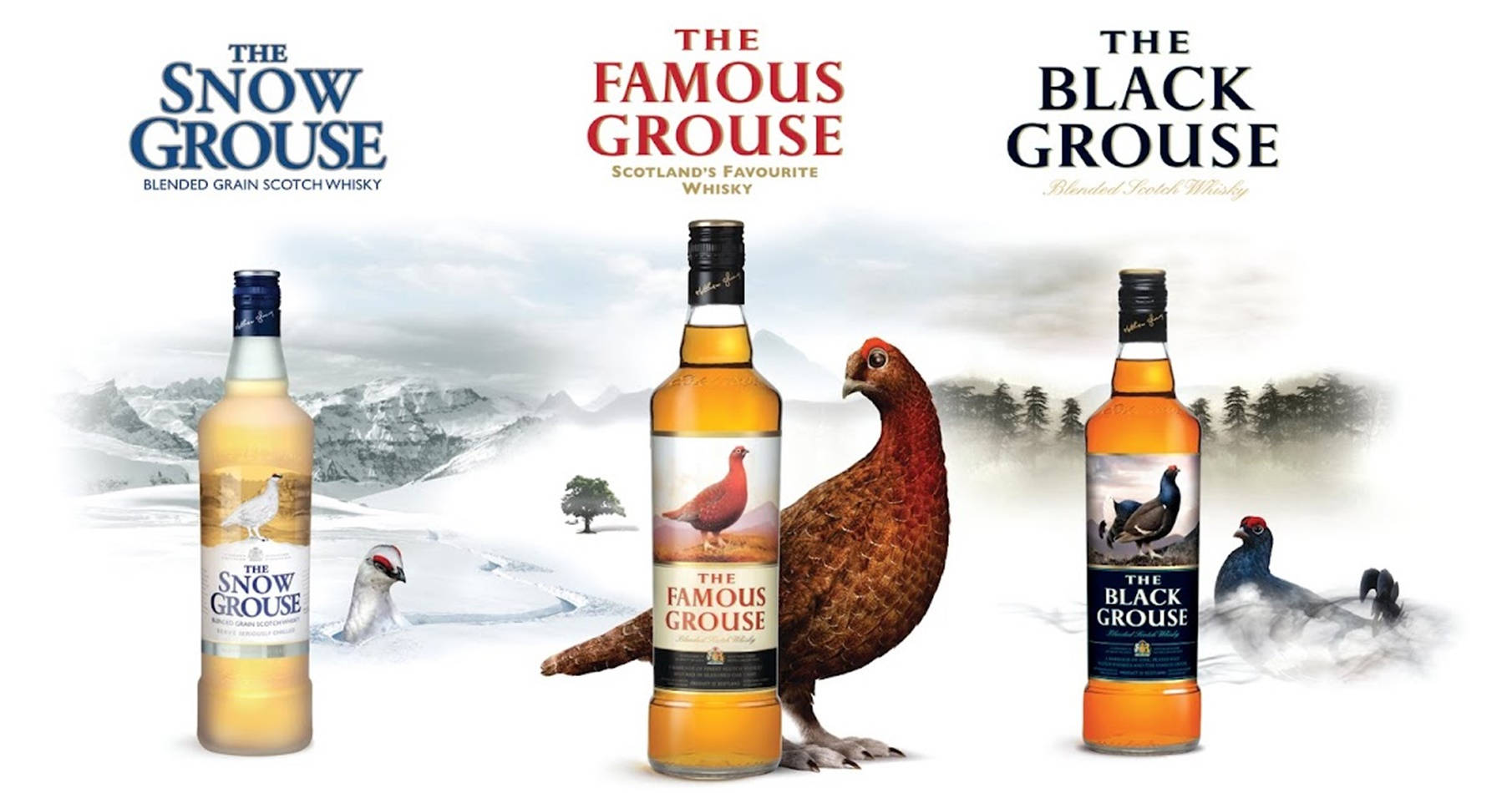 Famous Grouse, Snow Grouse, Black Grouse, HD Desktop Wallpaper
