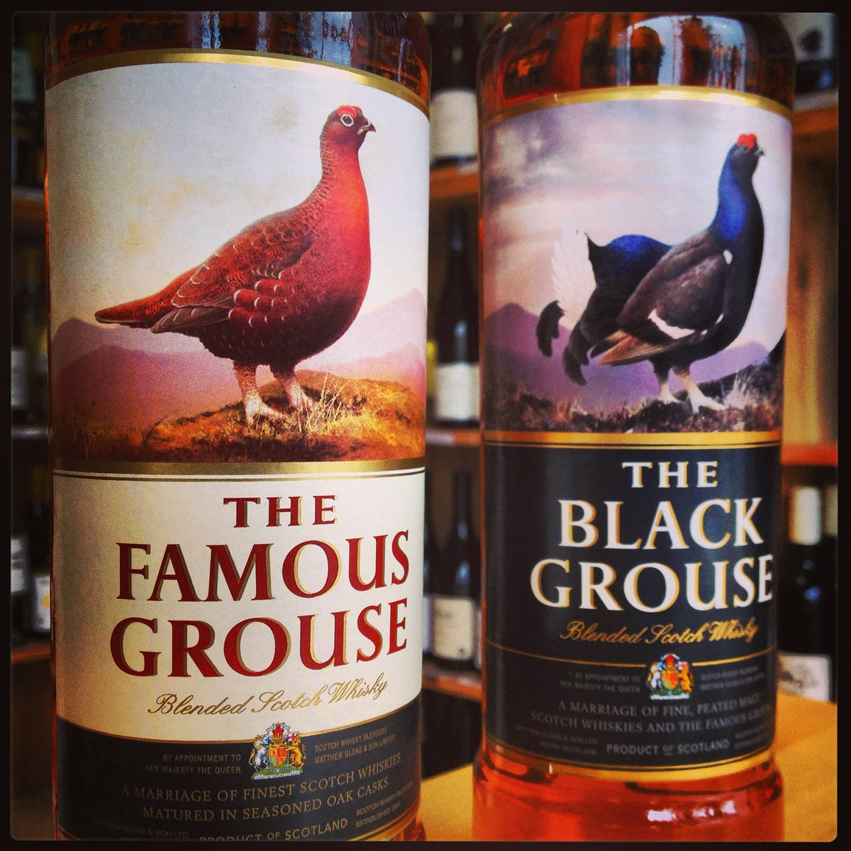 The Famous Grouse Black Grouse, red grouse, black grouse, SD Desktop Wallpaper