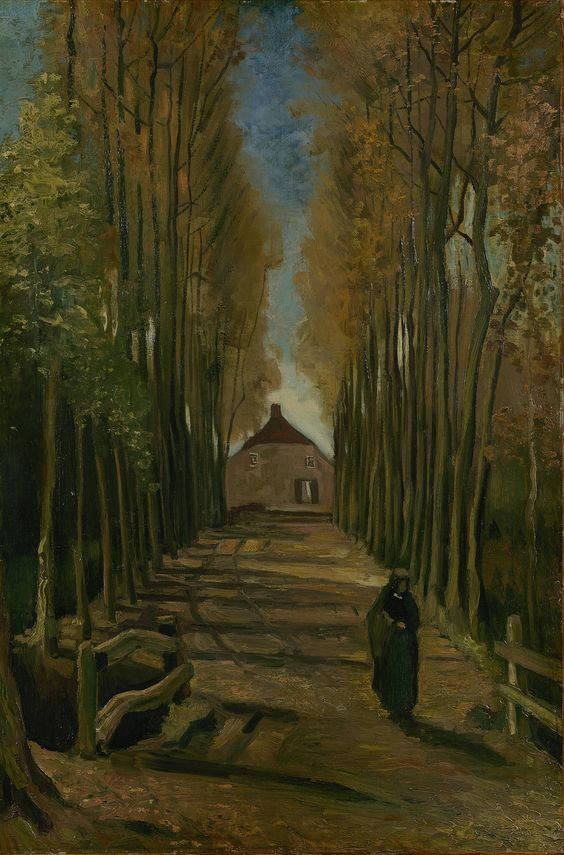 Avenue of Poplars In Autumn, poplars, tree-lined path, SD Phone Wallpaper