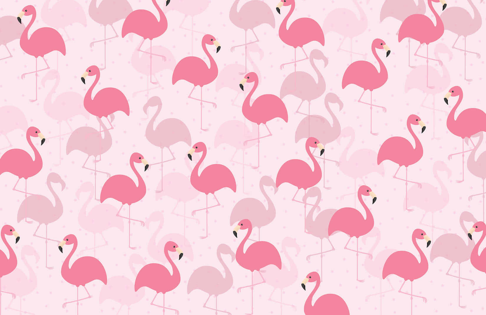 fancy, pink flamingos, soft pink background, HD Desktop Wallpaper