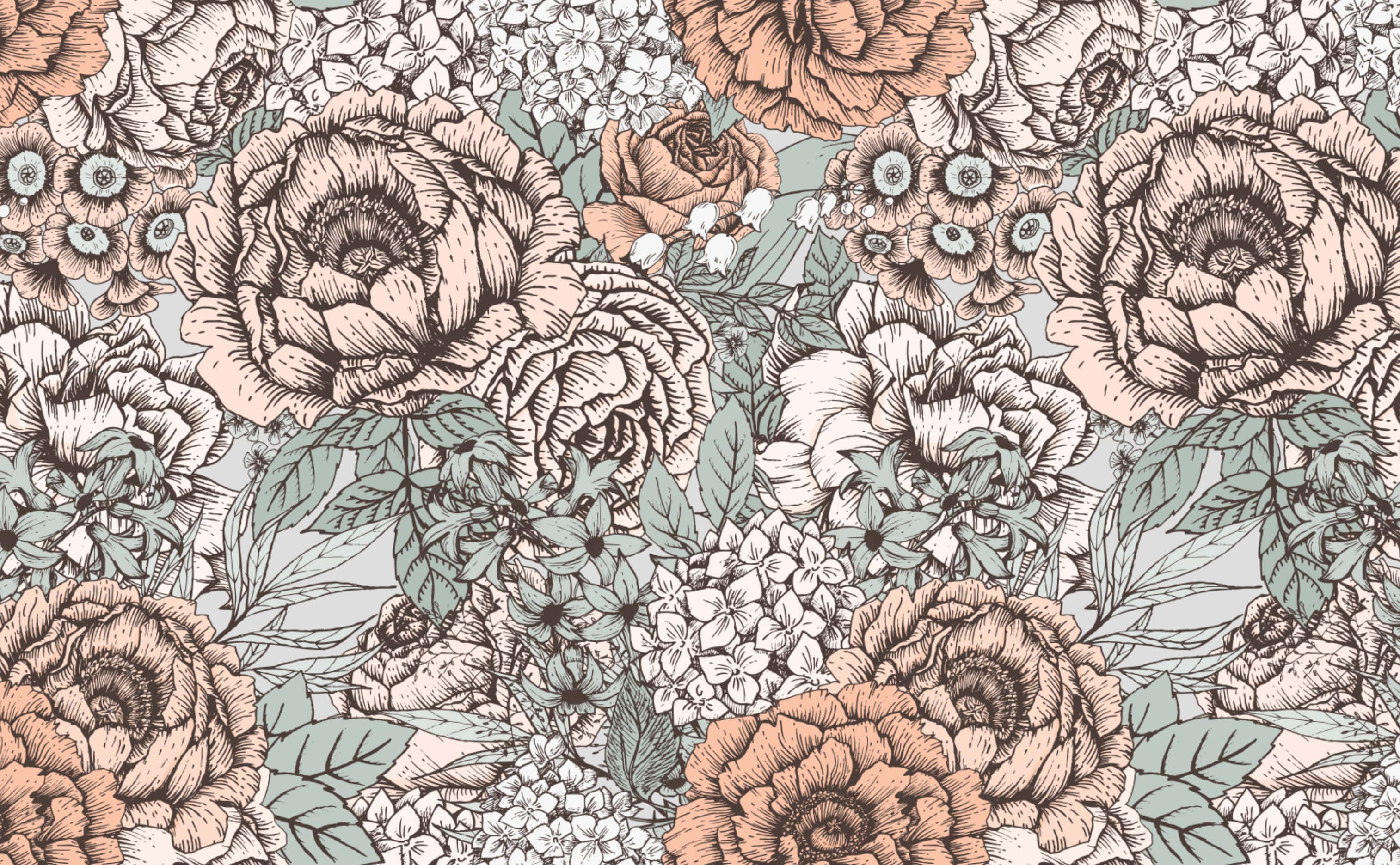 peonies, hydrangeas, soft peach, 2K Desktop Wallpaper