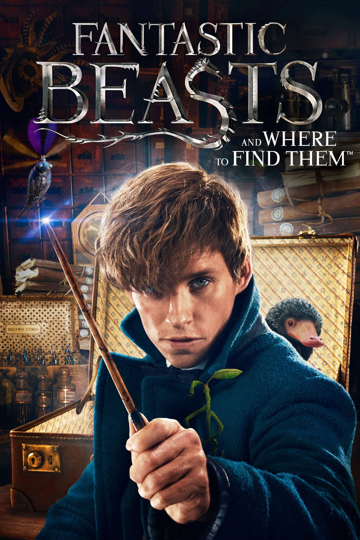 Fantastic Beasts And Where To Find Them, wizard, blue coat, HD Phone Wallpaper