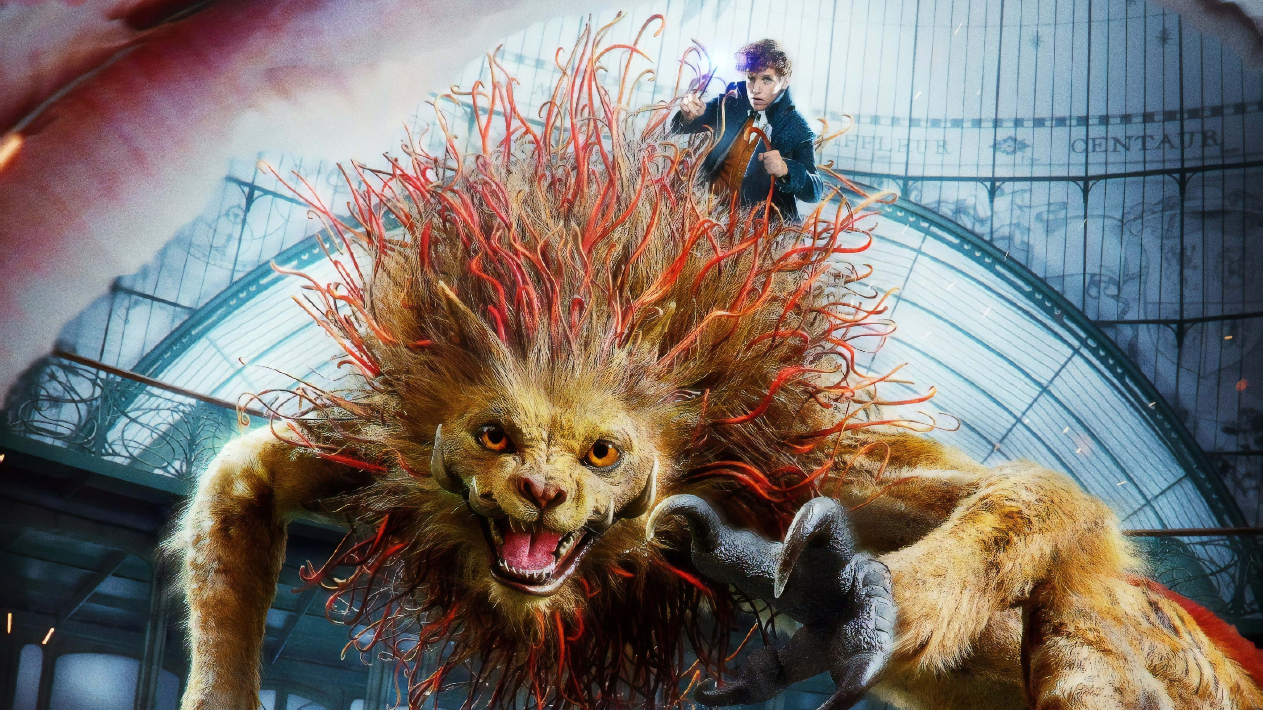 Fantastic Beasts, lion-like creature, fiery red mane, 4K Desktop Wallpaper