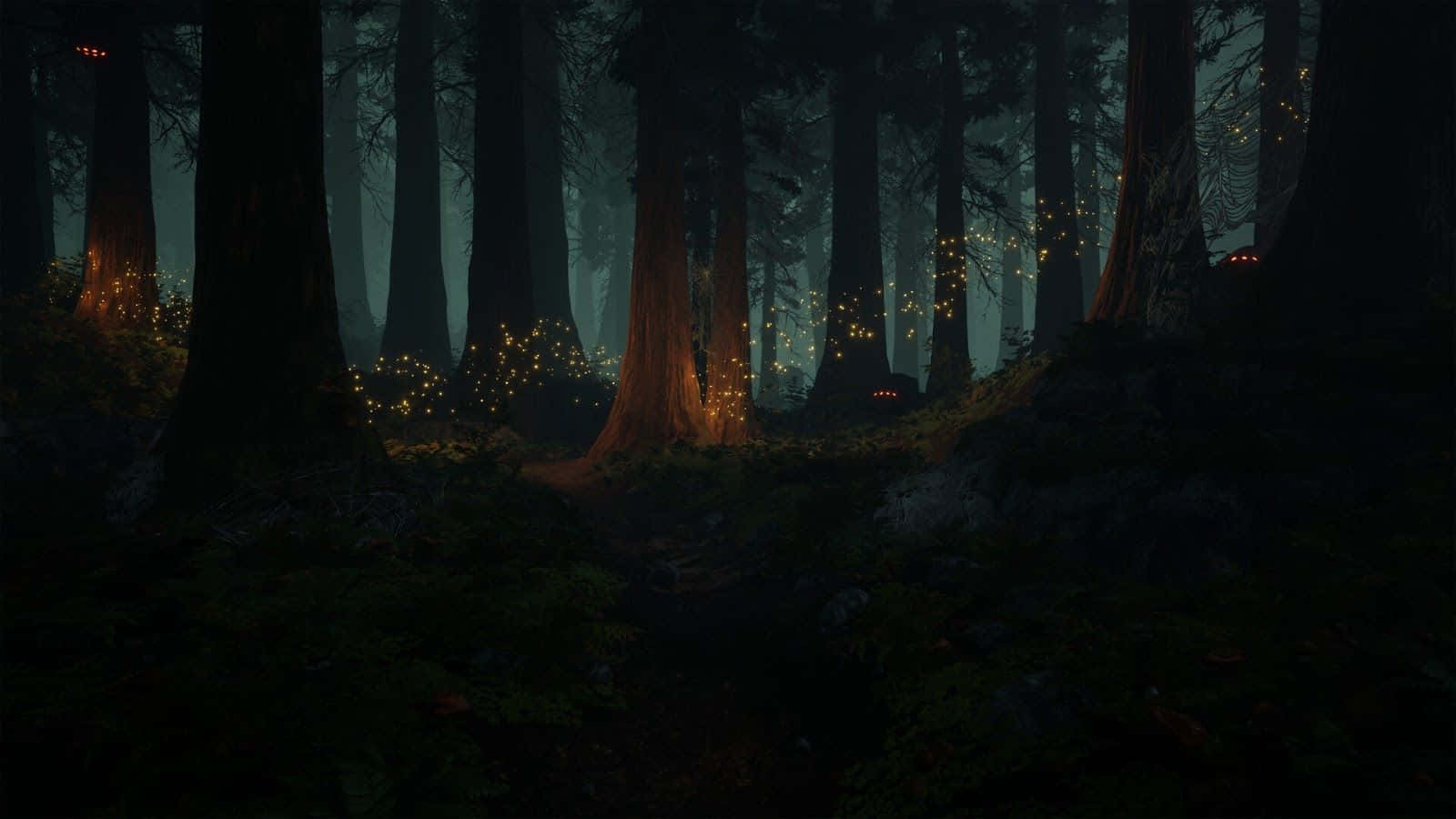 enchanted forest, glowing fireflies, misty forest, HD Desktop Wallpaper